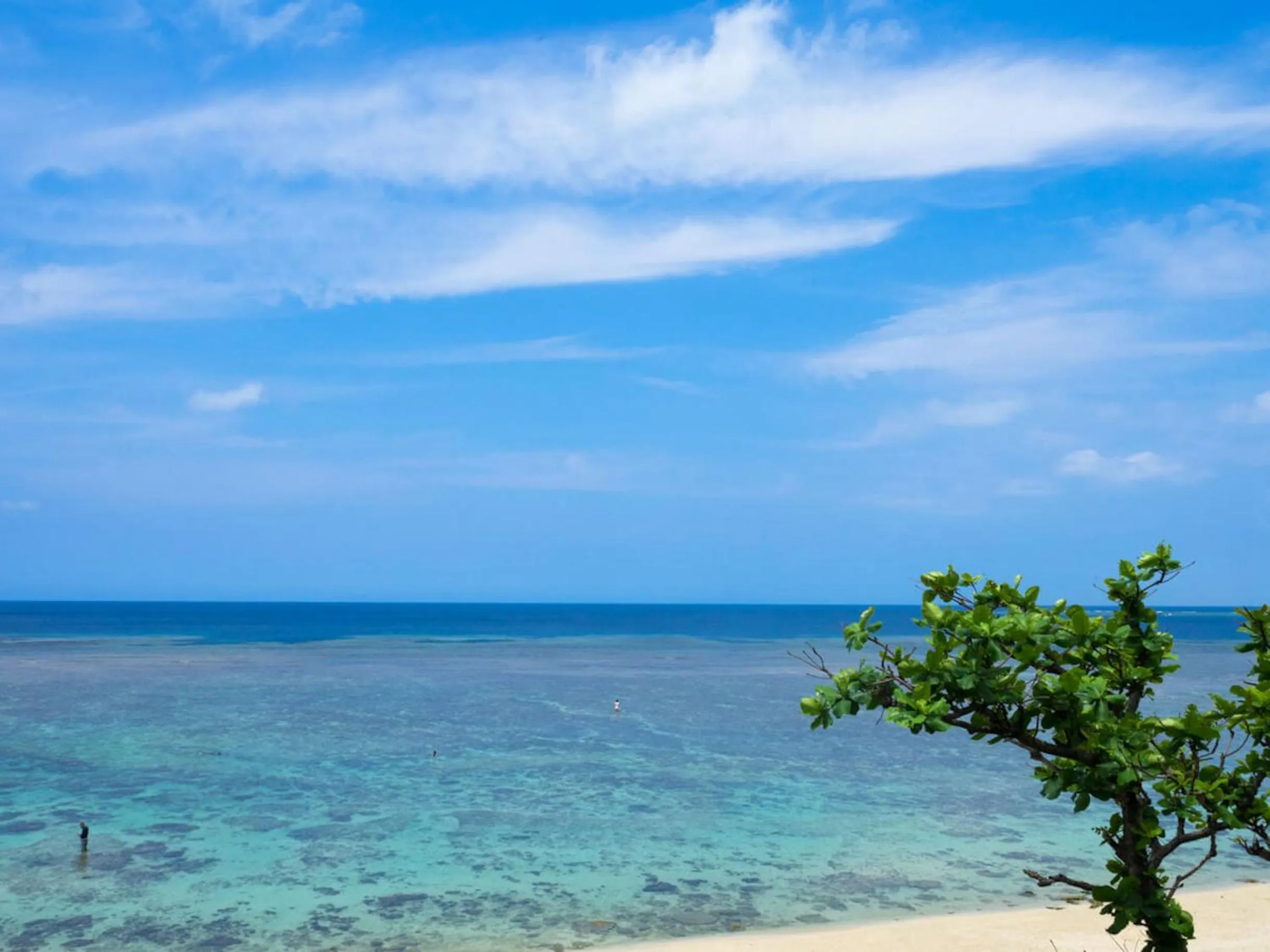 Sea view in Ishigaki Guesthouse HIVE