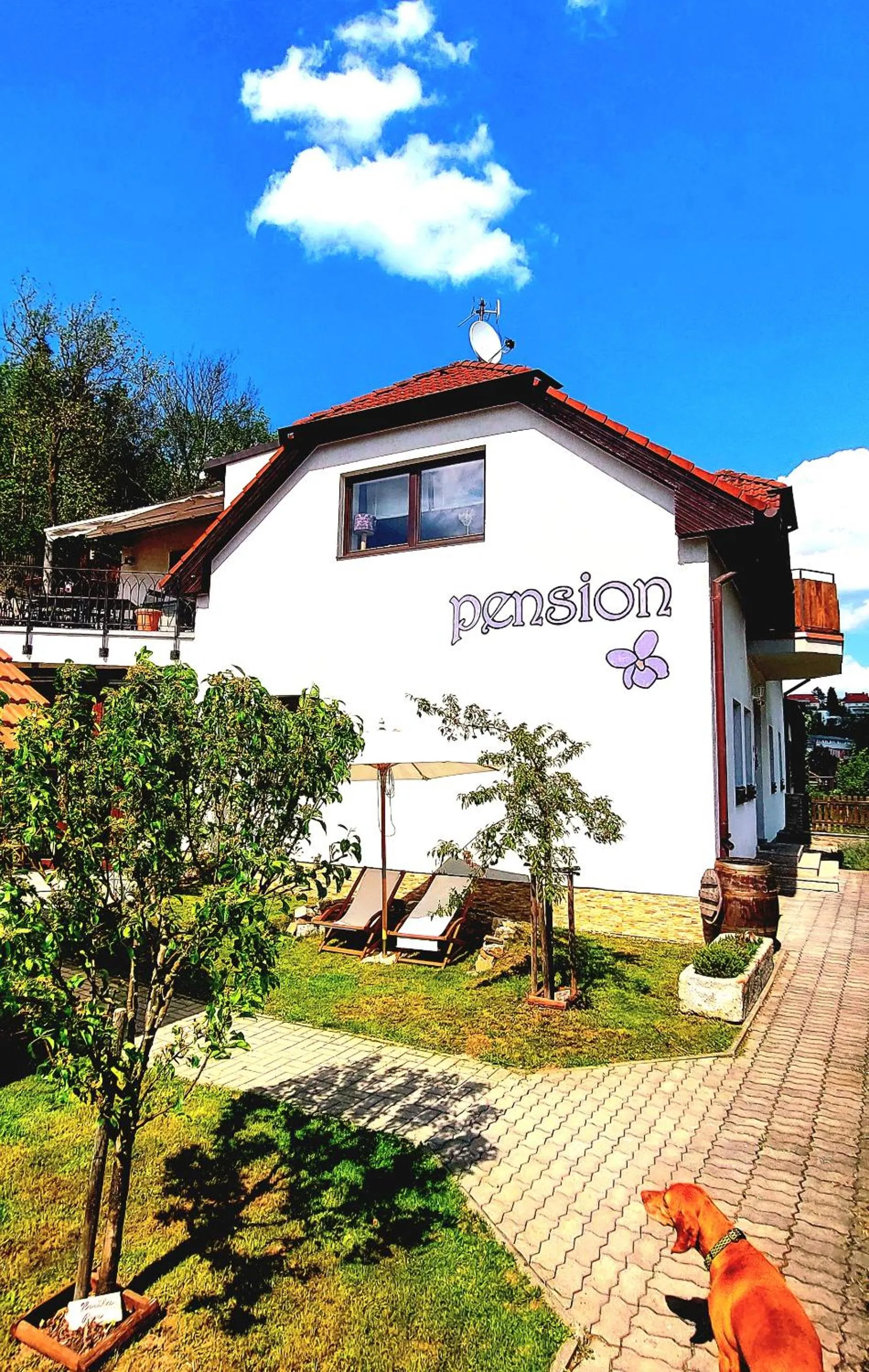 Property building in Pension Fialka