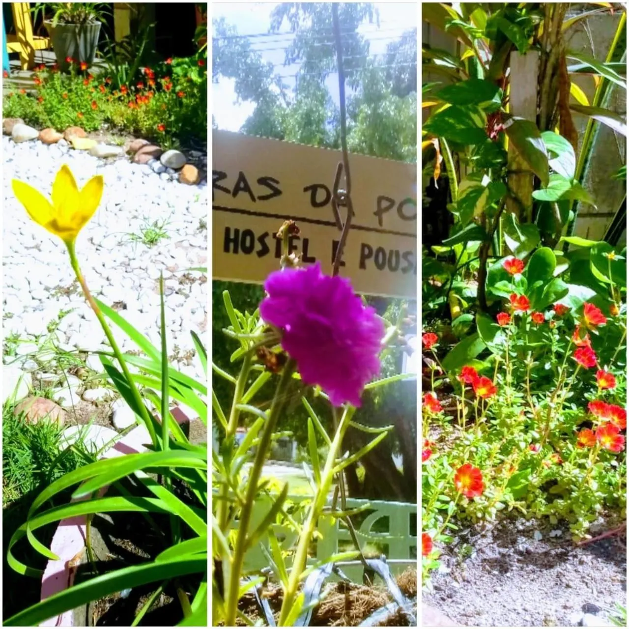 Pousada Liras da Poesia