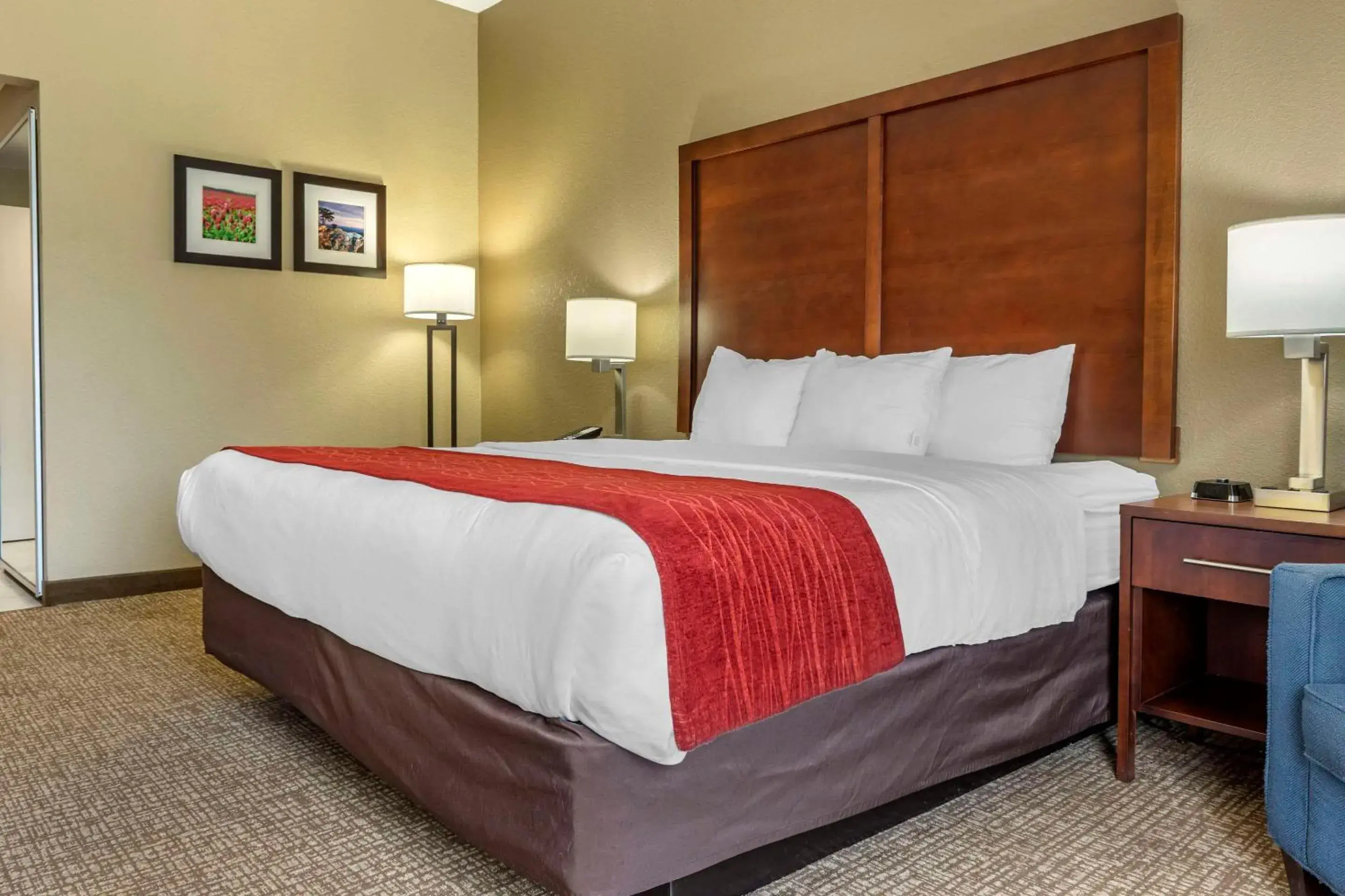 King Room - Disability Access/Non-Smoking in Comfort Inn & Suites Mocksville I-40 King Room - Disability Access/Non-Smoking in Comfort Inn & Suites Mocksville I-40