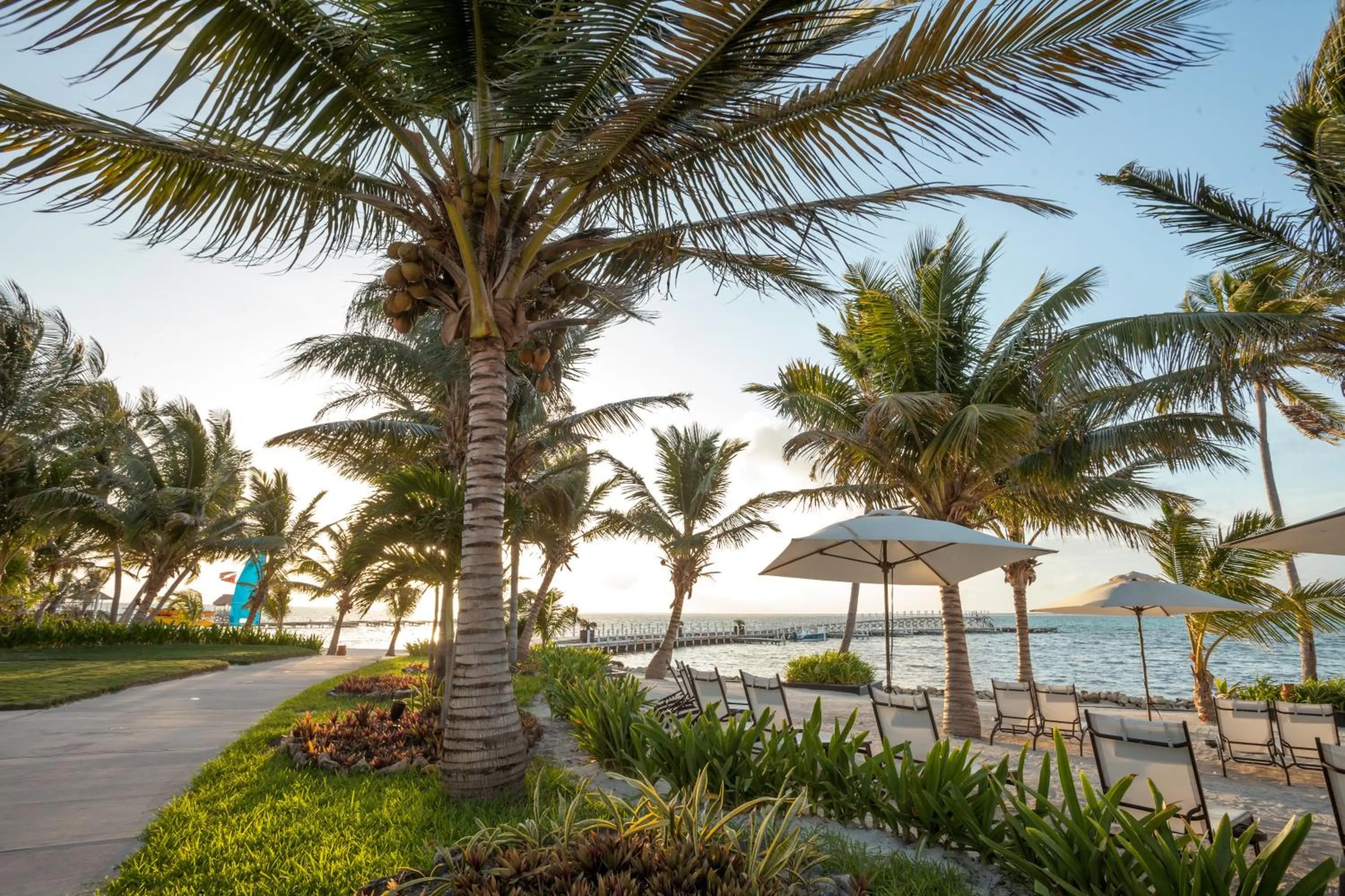 Garden in Las Terrazas Resort