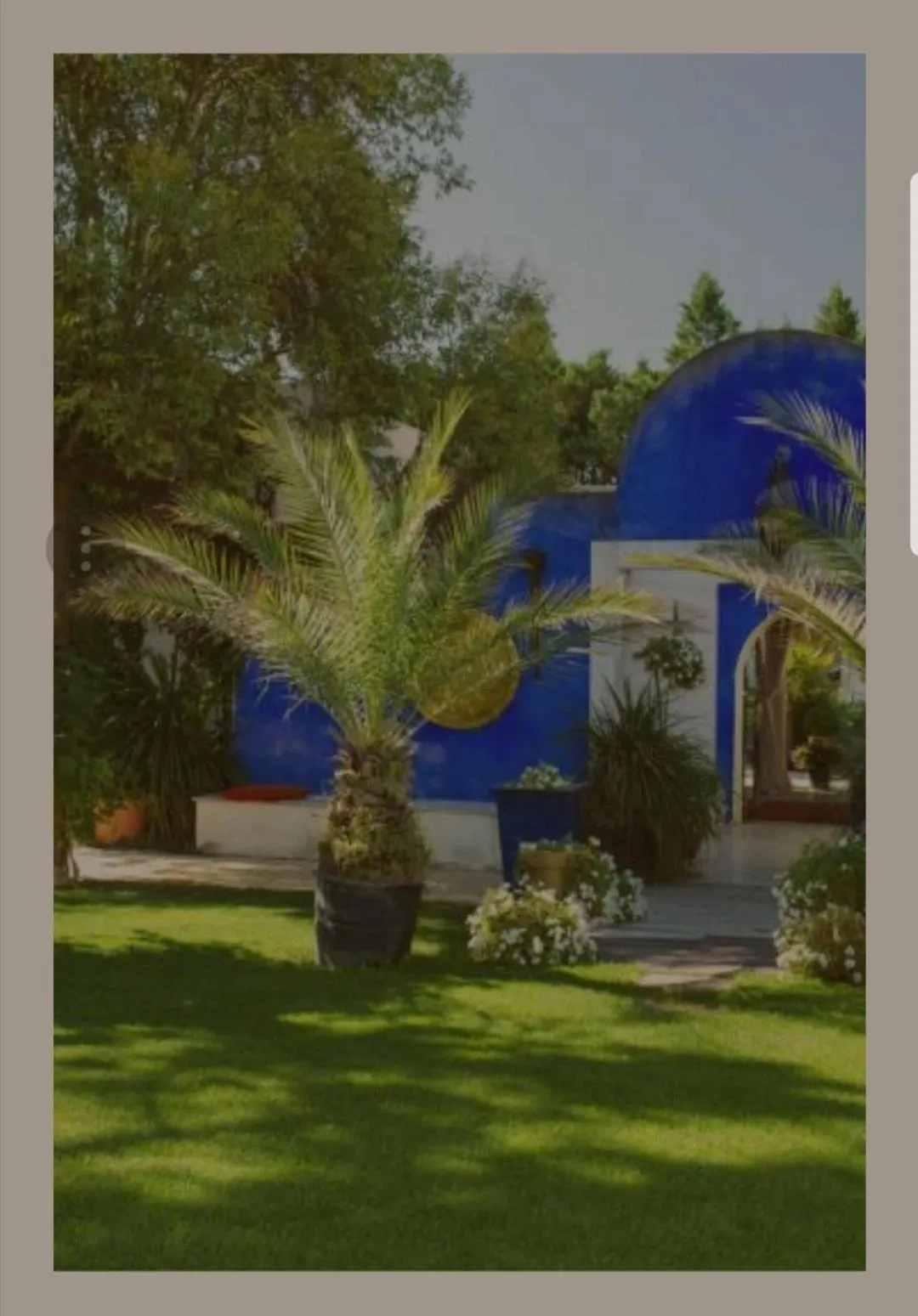 Garden in La Villa Majorelle