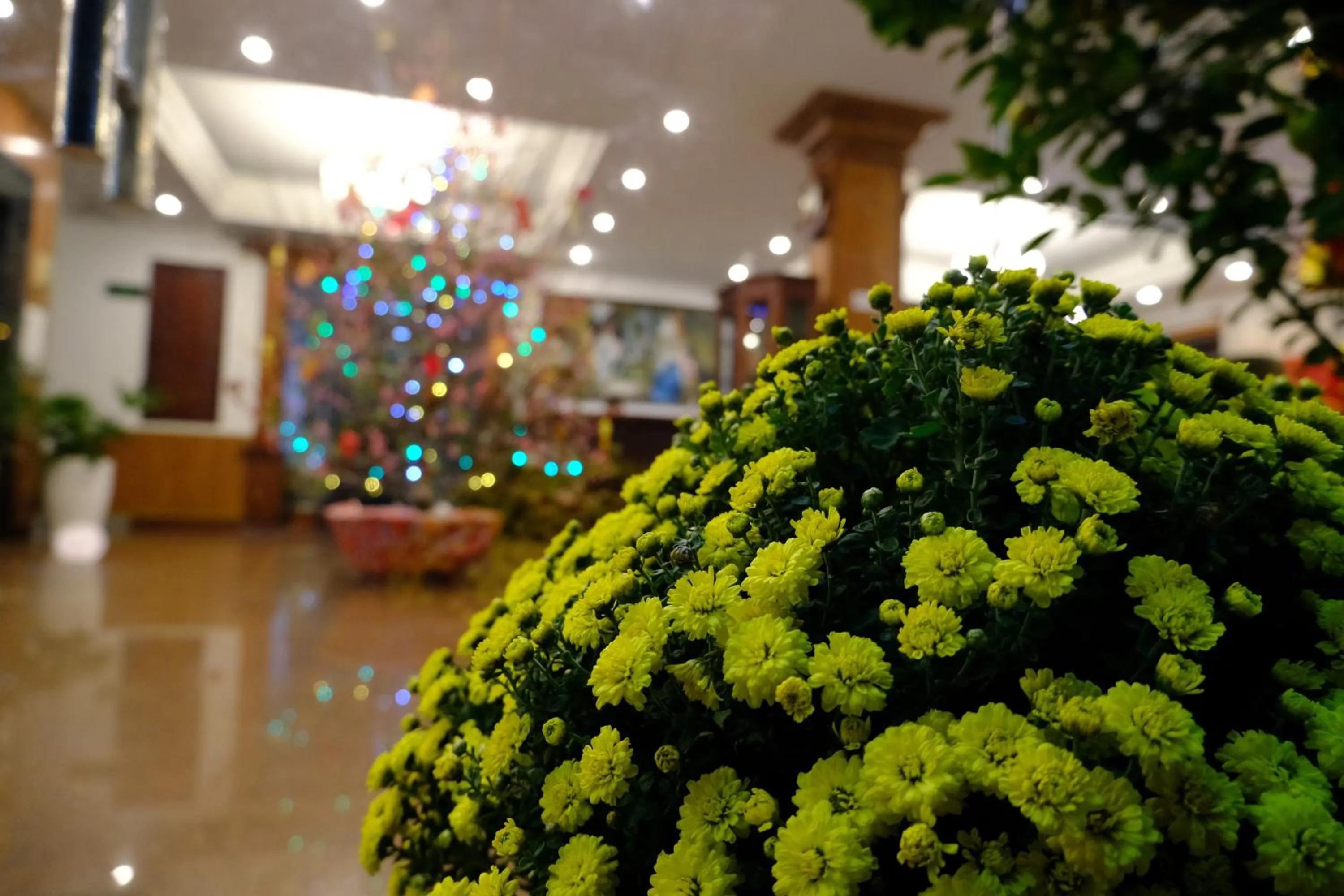 Hoa Phat Hotel & Apartment