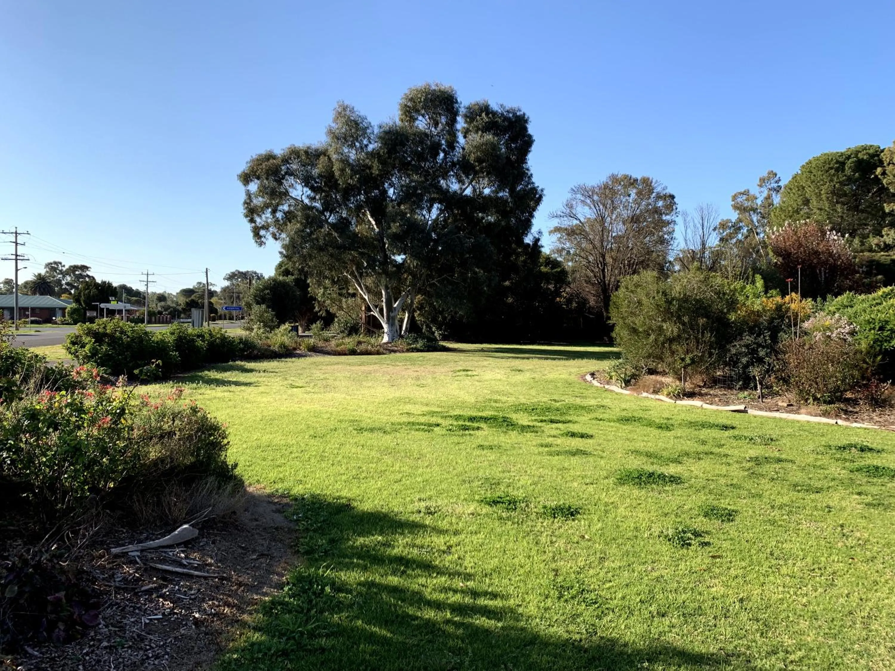 Garden in Kingswood Motel