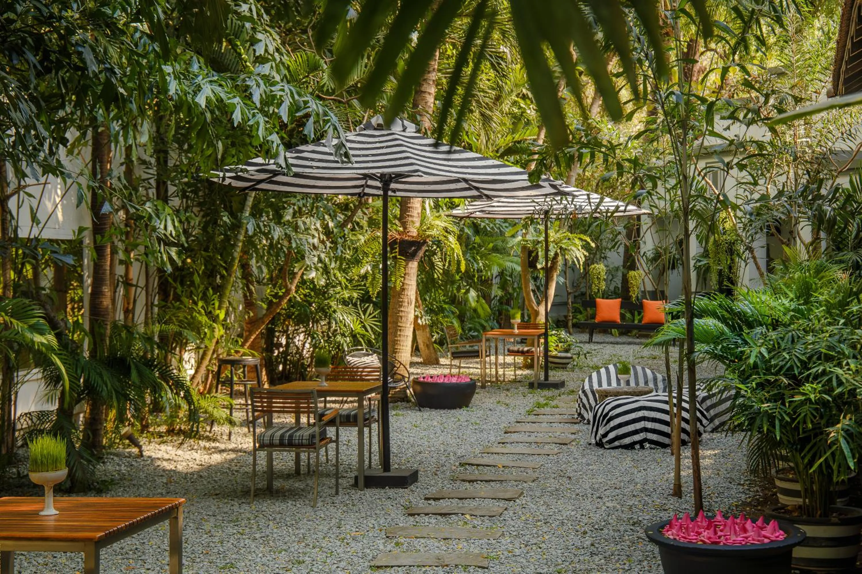 Area and facilities in Shinta Mani Angkor