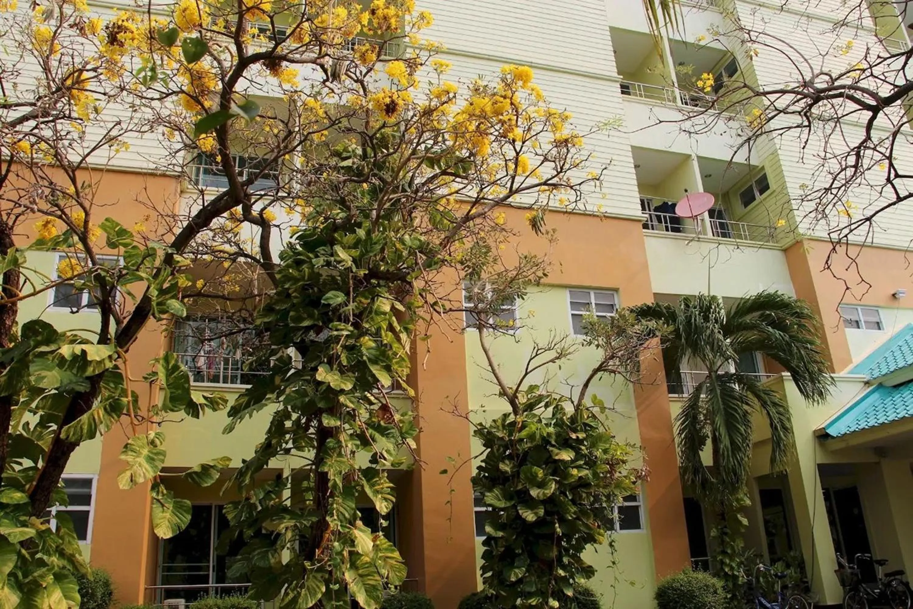 Property building in Udoncabana