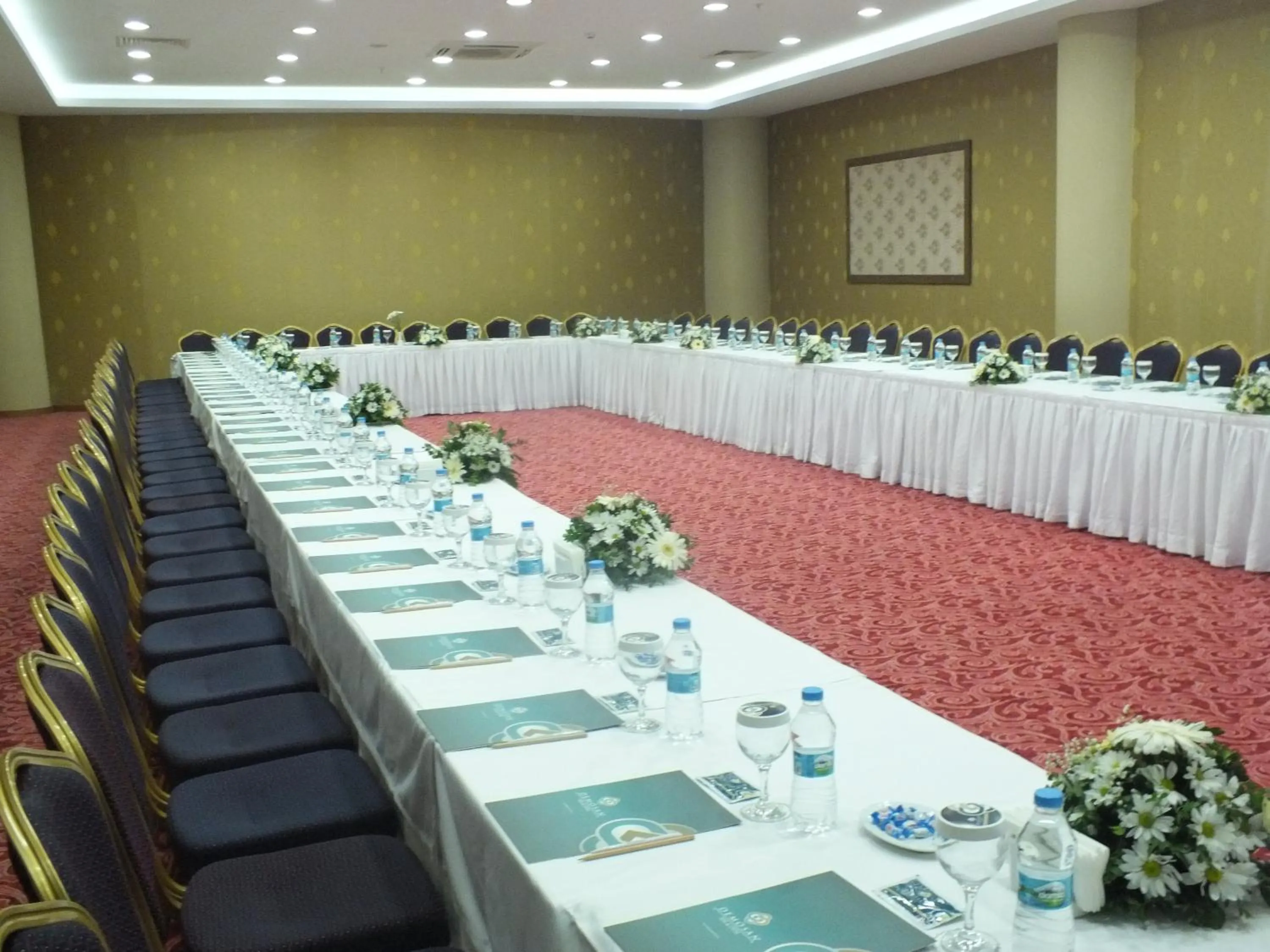 Meeting/conference room in Demosan Hotel