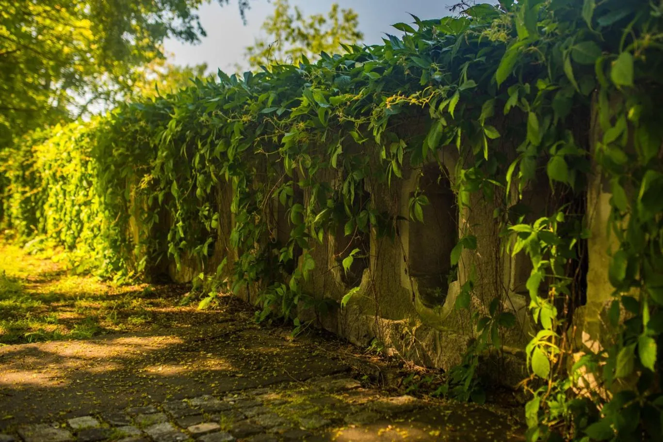 Day in Pałac Krobielowice