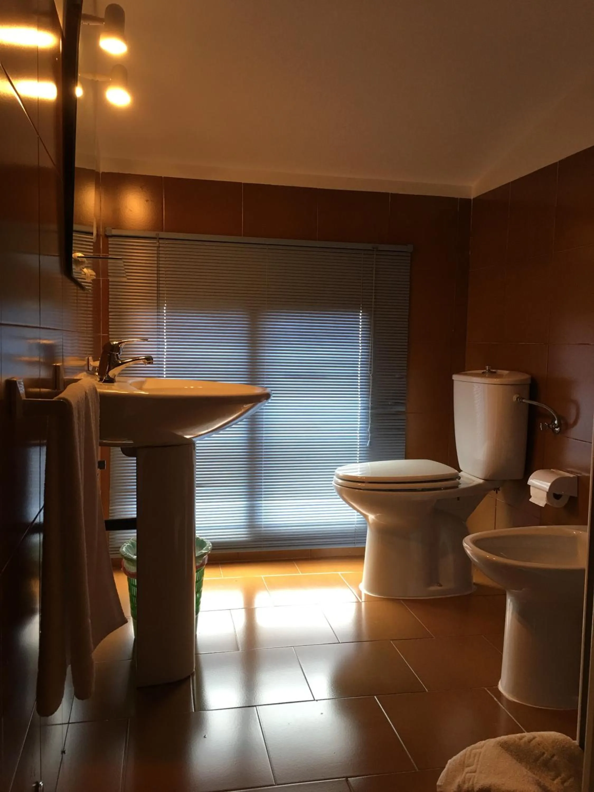 Toilet in B&B Yeguada La Parrilla