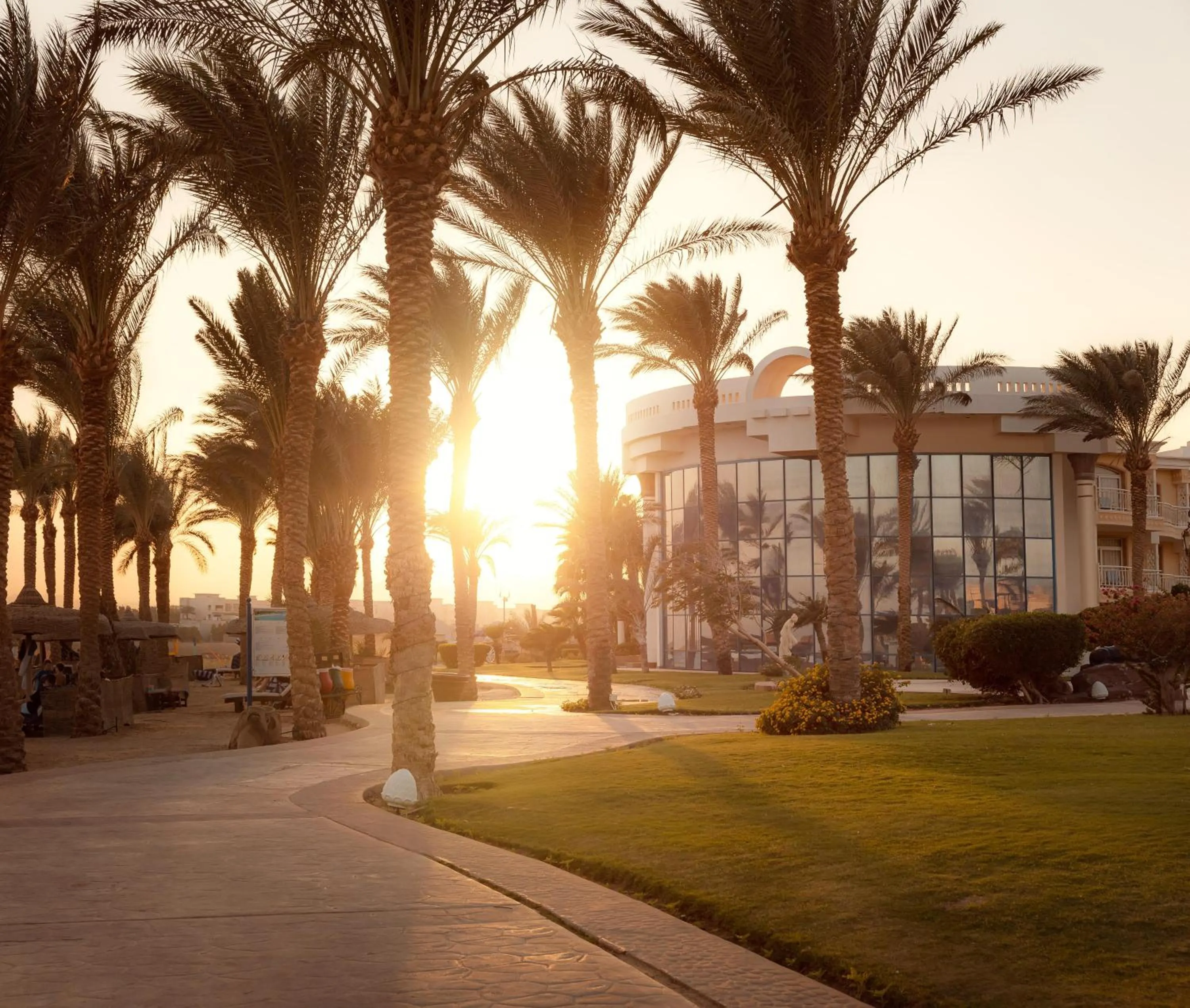Natural landscape in Palm Royale Resort - Soma Bay