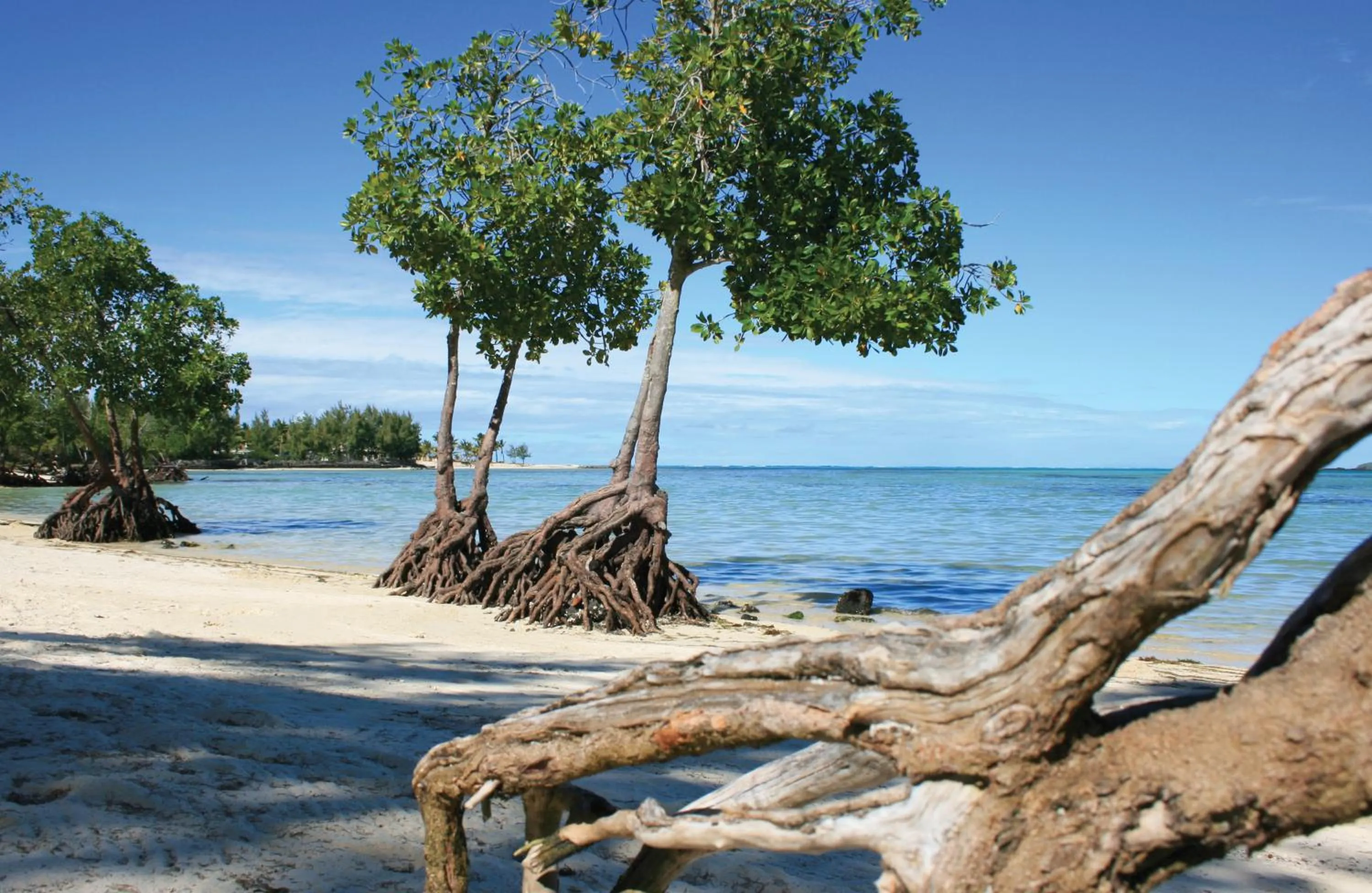 Beach in Jalsa Beach Hotel & Spa