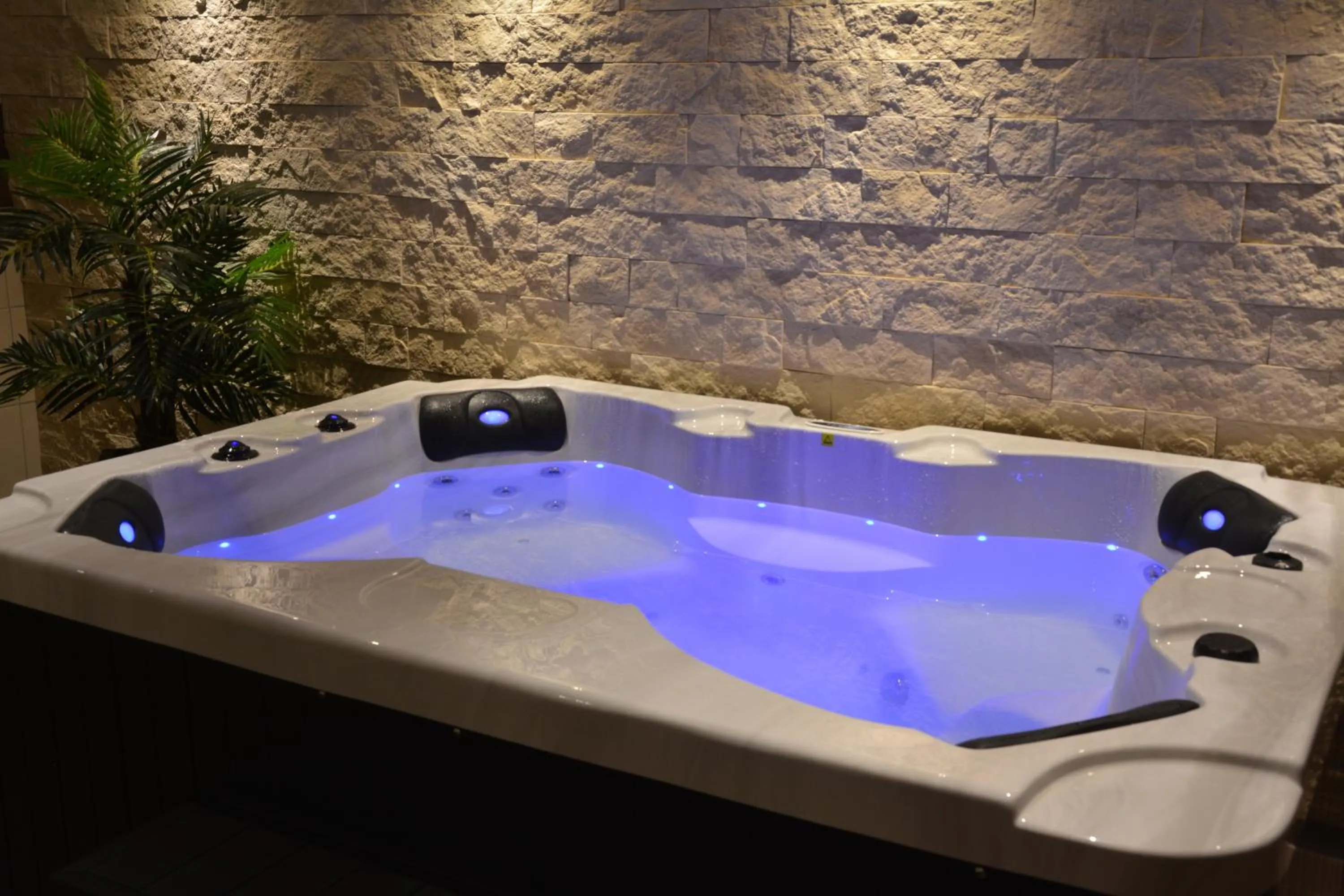 Hot Tub in Boutique Hotel Wolfsburg