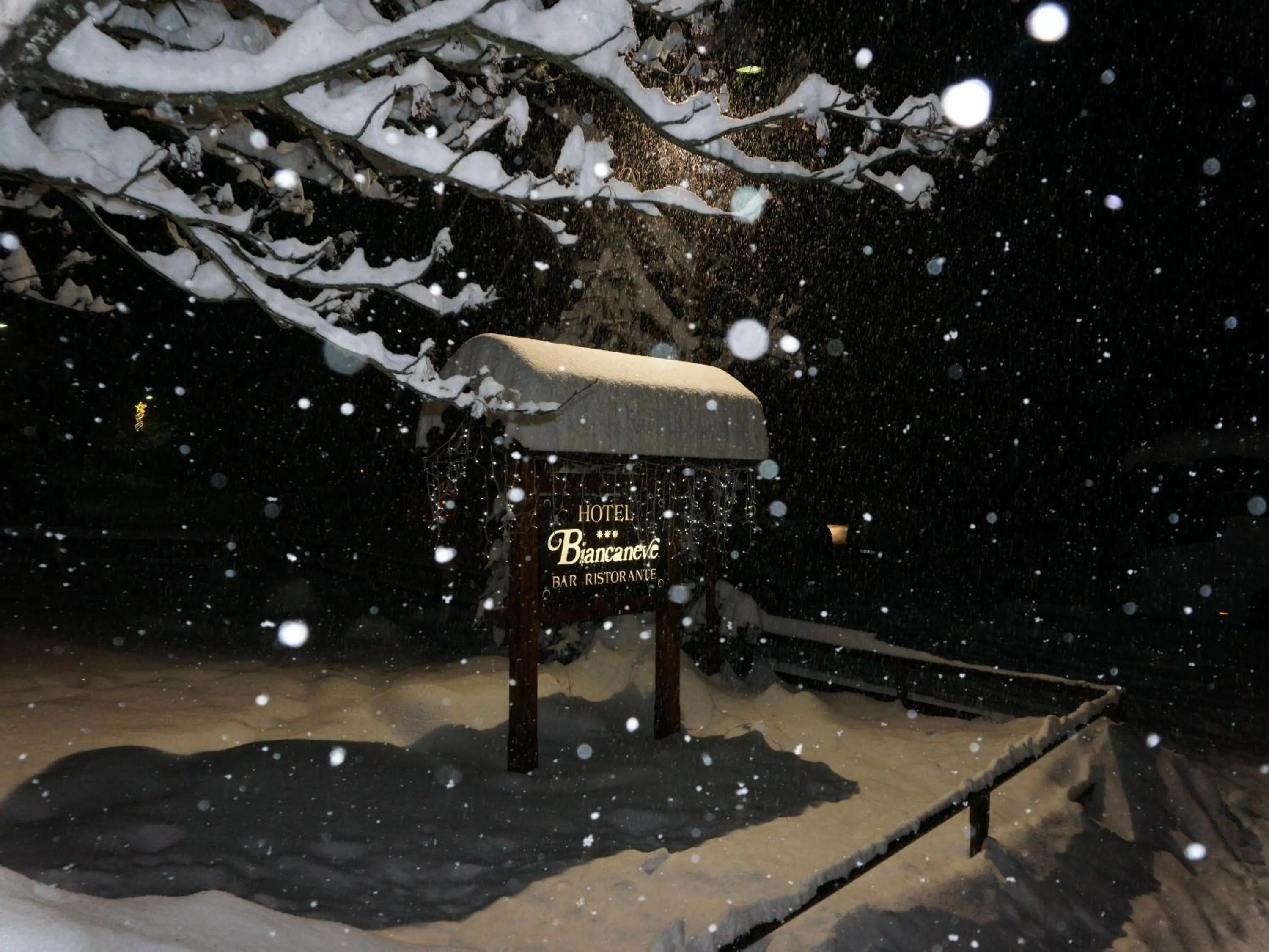 Facade/entrance in Hotel Biancaneve