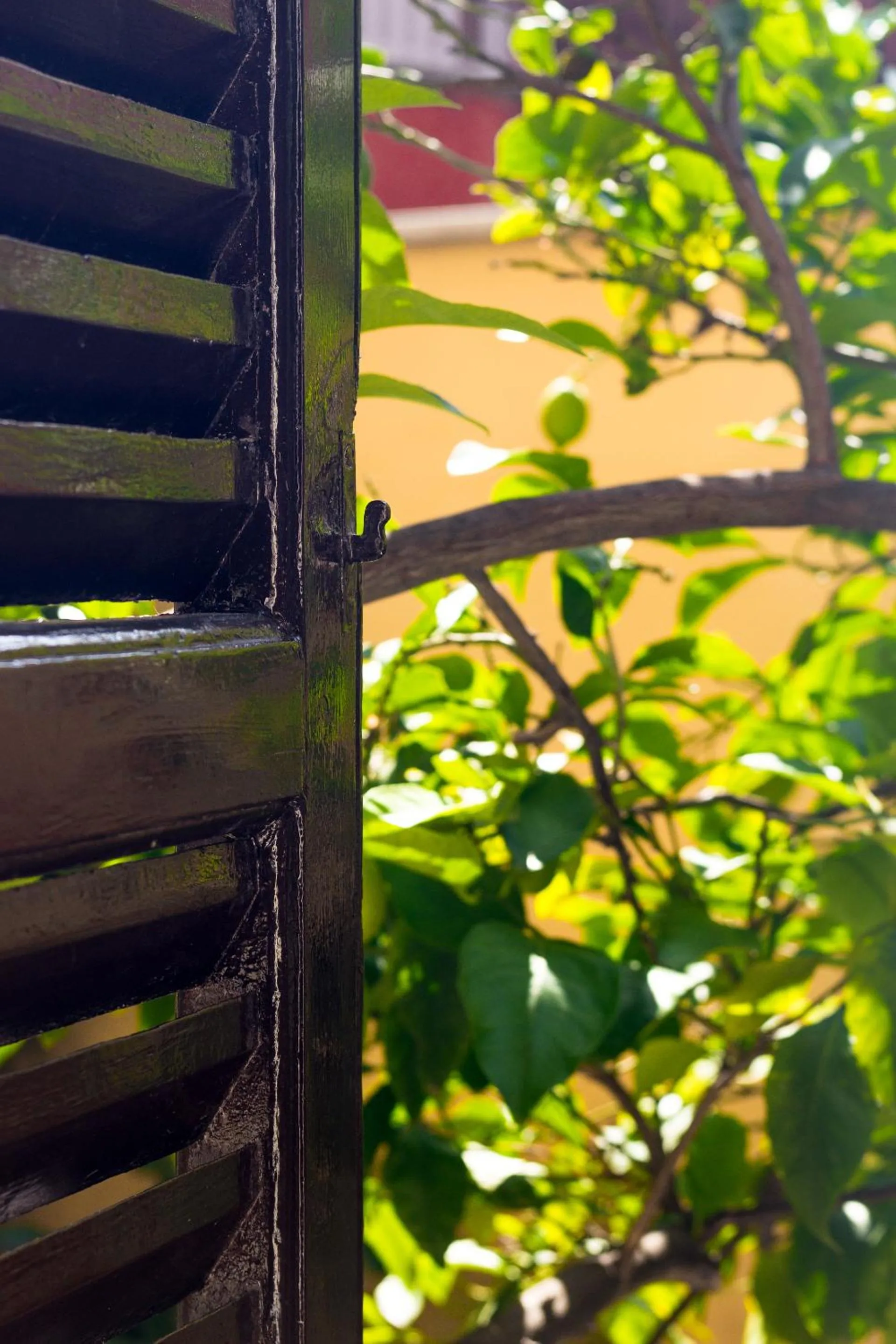 B&B Villa Ida Pescara Centro