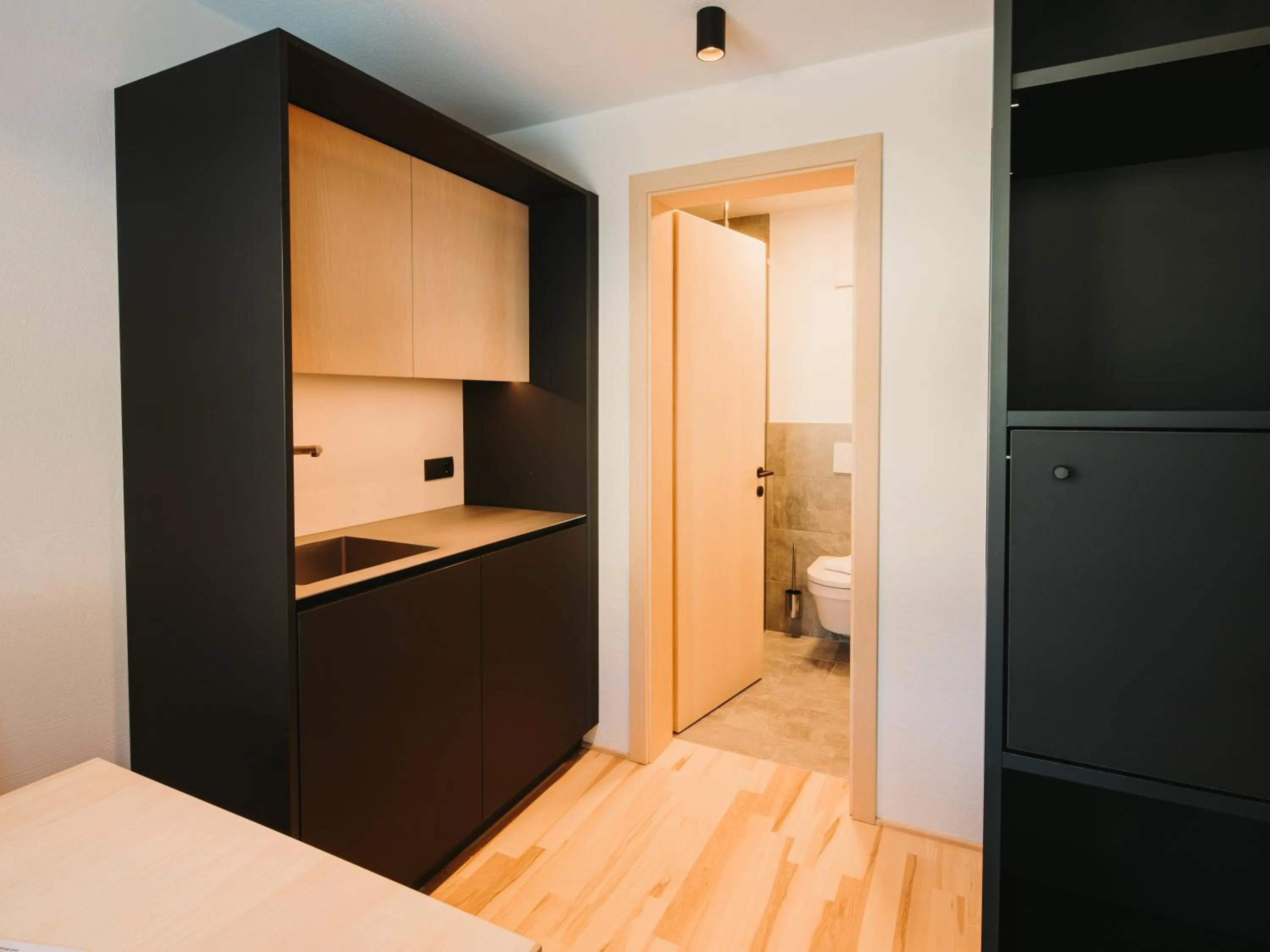 Kitchen or kitchenette in Alpin - Studios & Suites