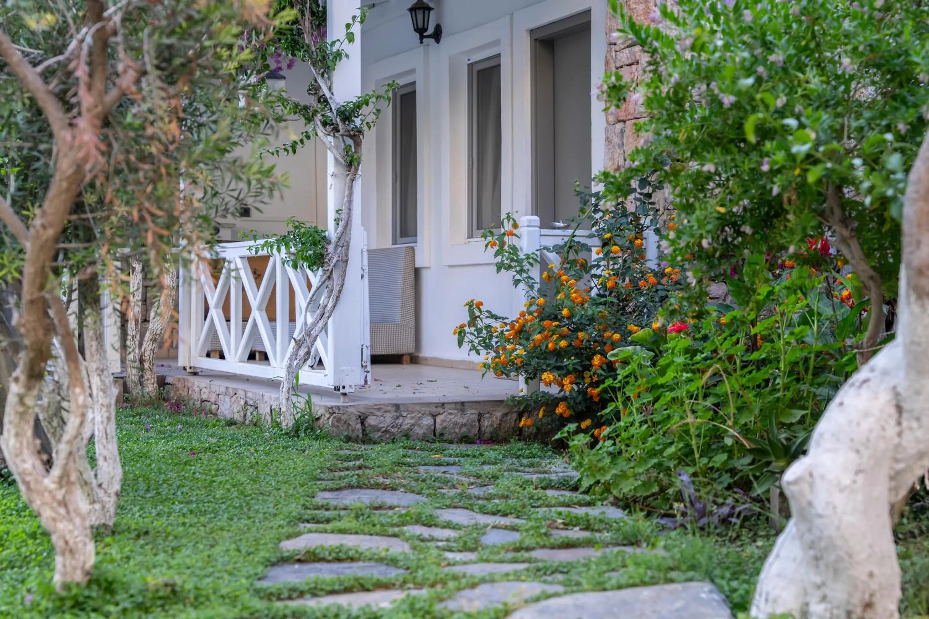 Garden in Moonshine Hotel & Suites