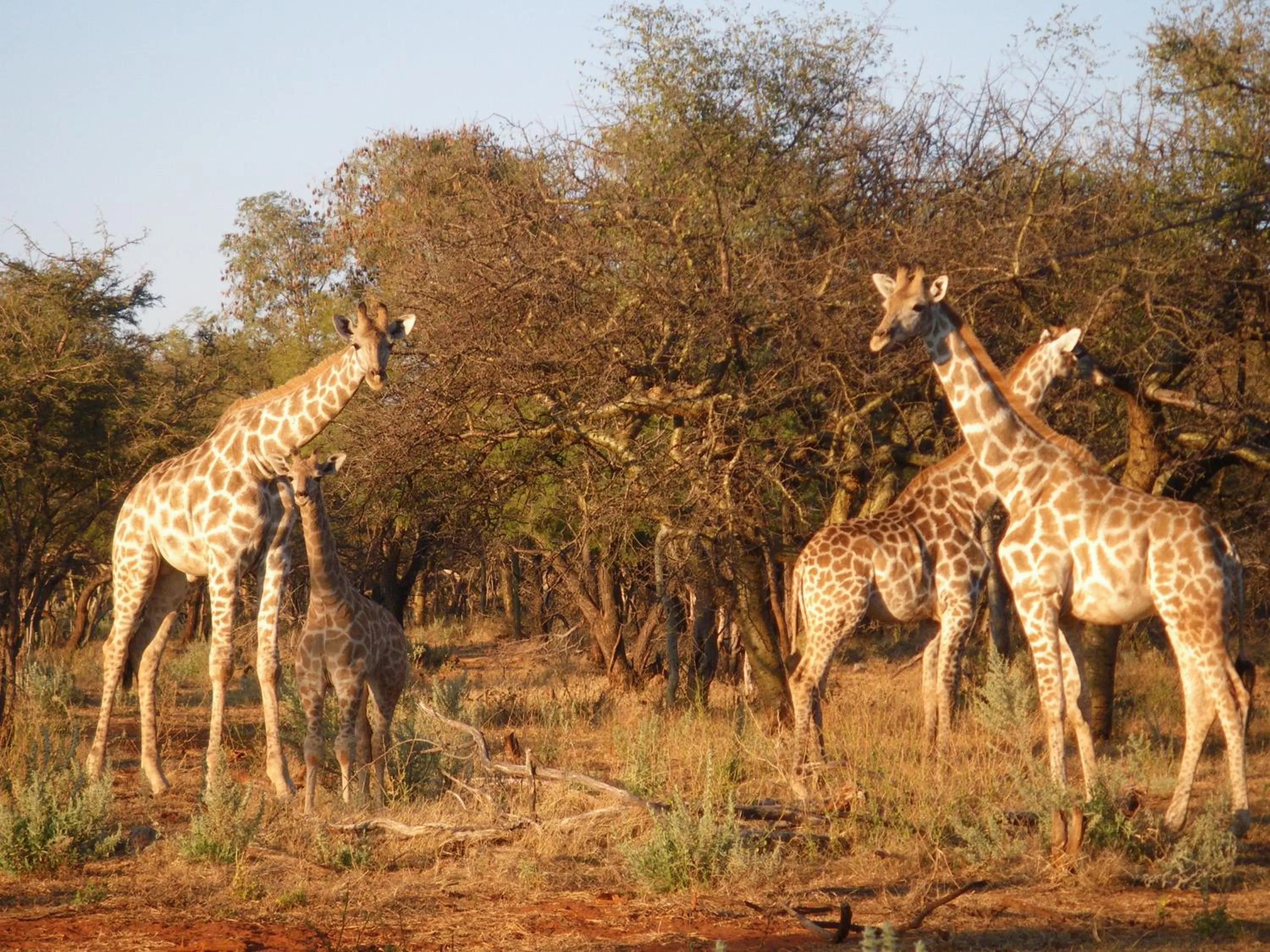 Ohange Namibia Lodge