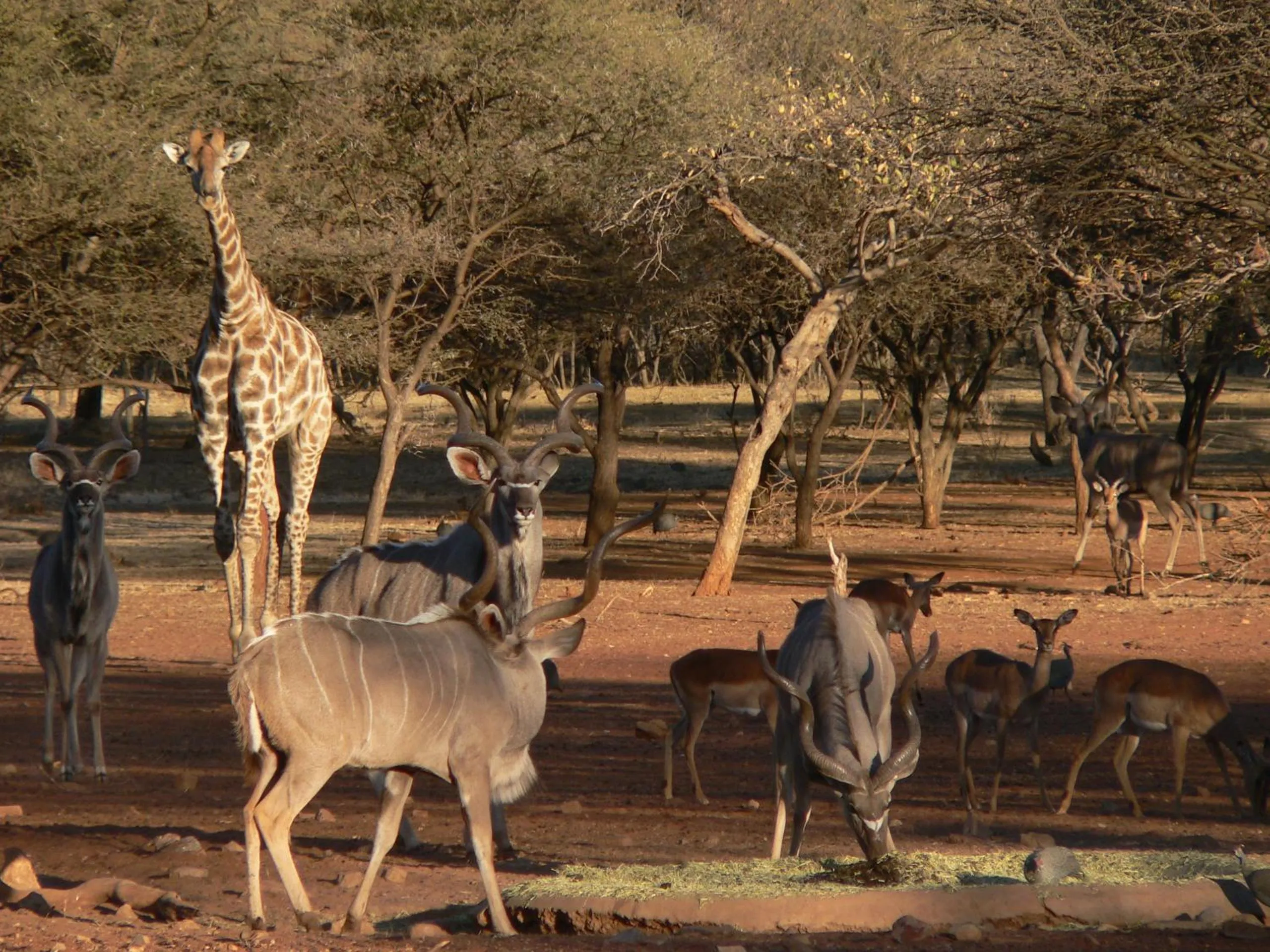 Ohange Namibia Lodge