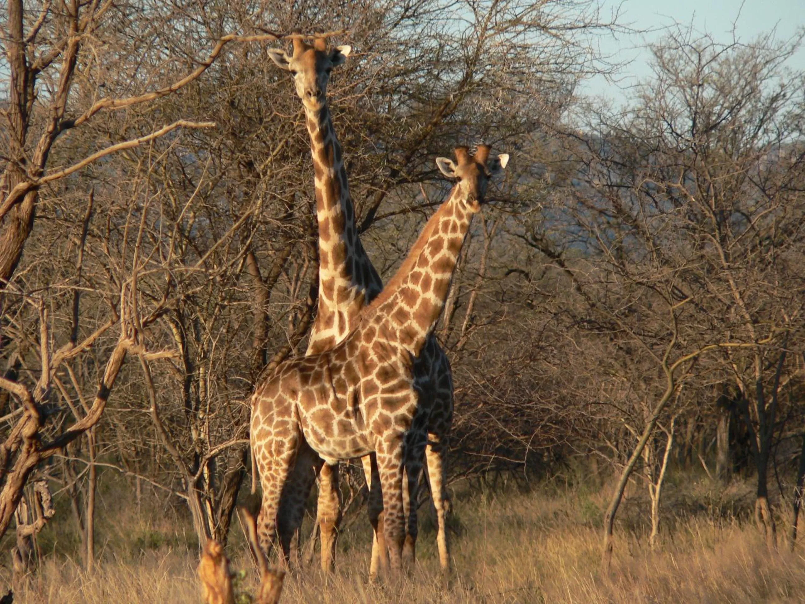 Ohange Namibia Lodge