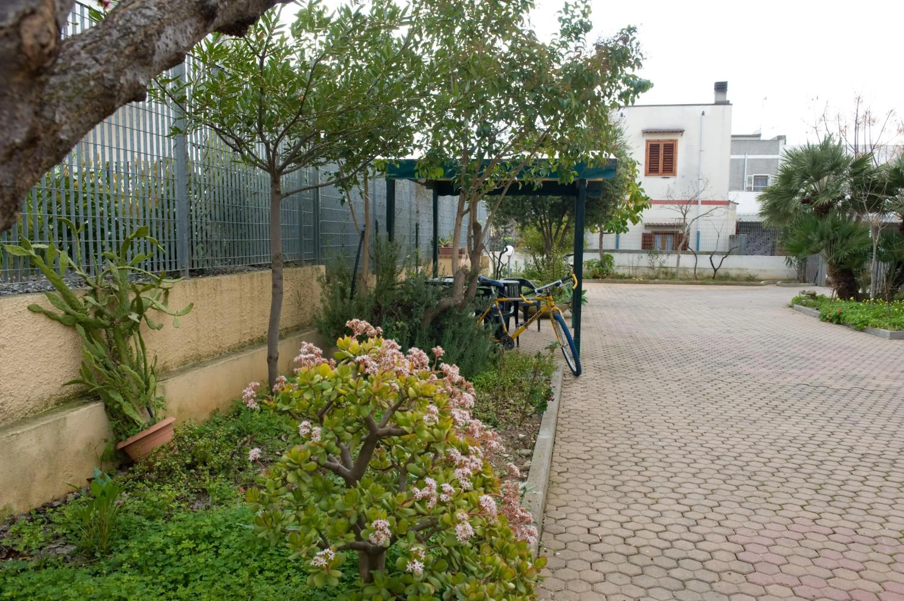 Garden in B&B Nova Siri