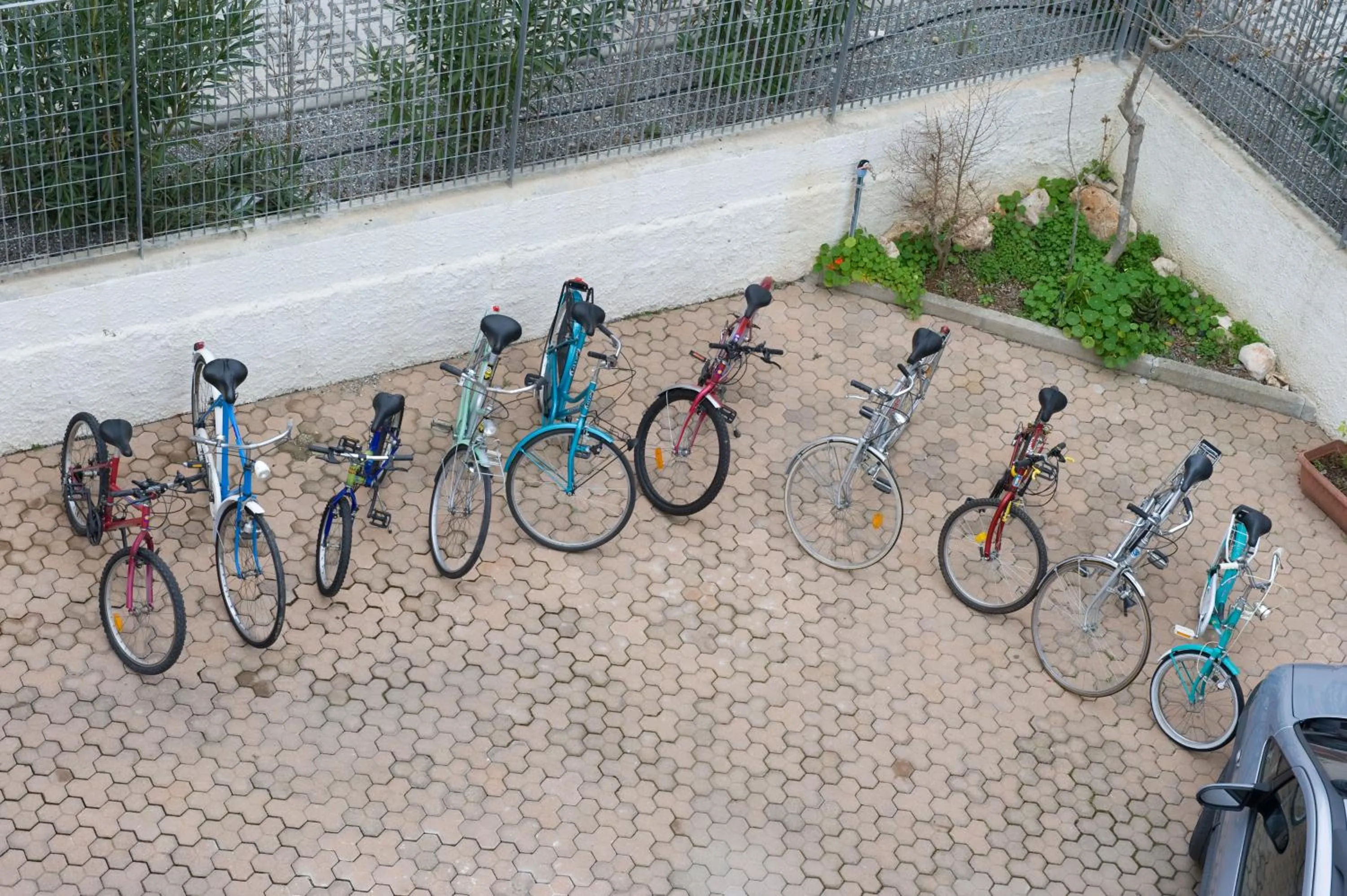 Activities in B&B Nova Siri