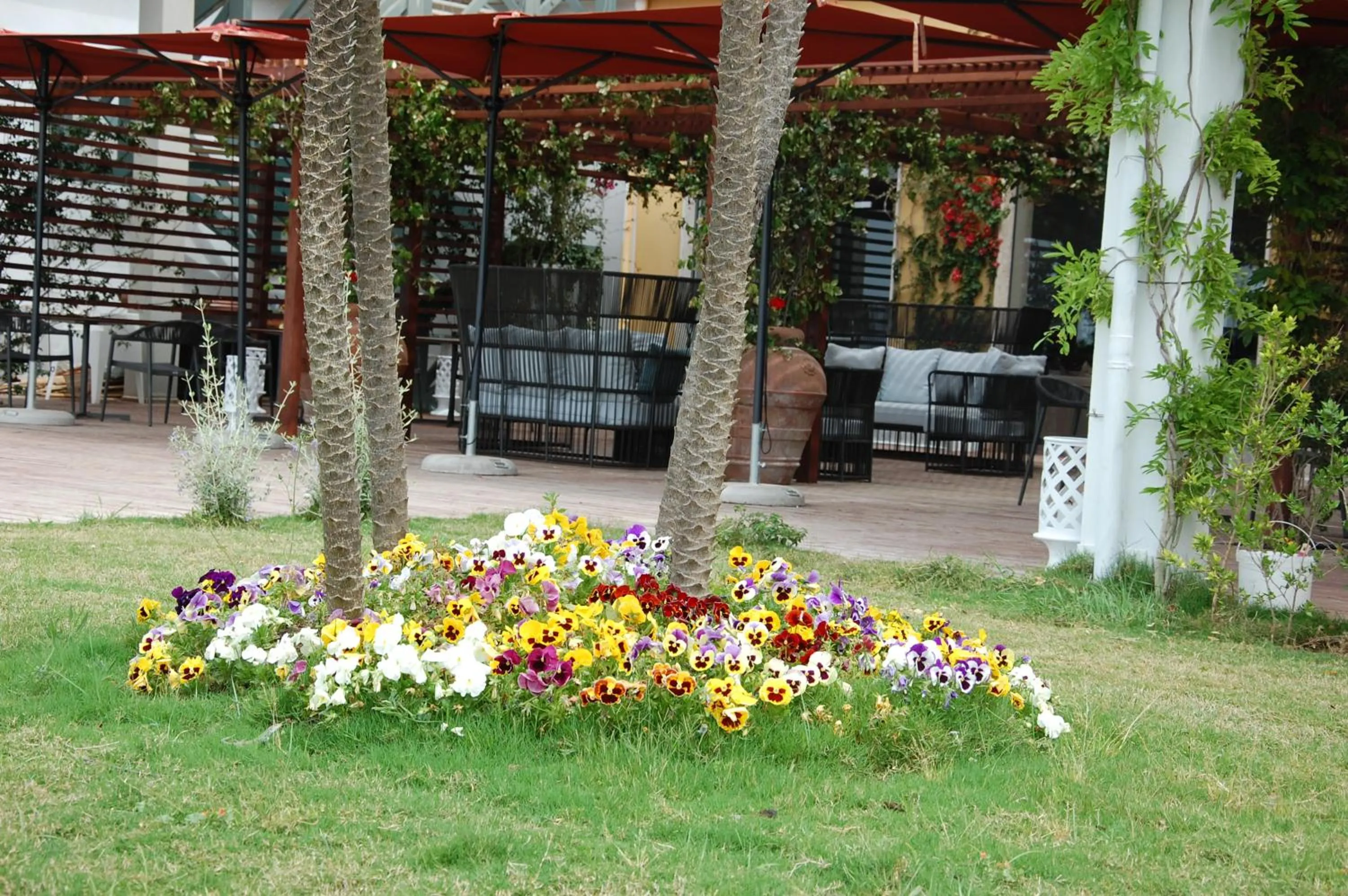 Garden in Saint Joseph