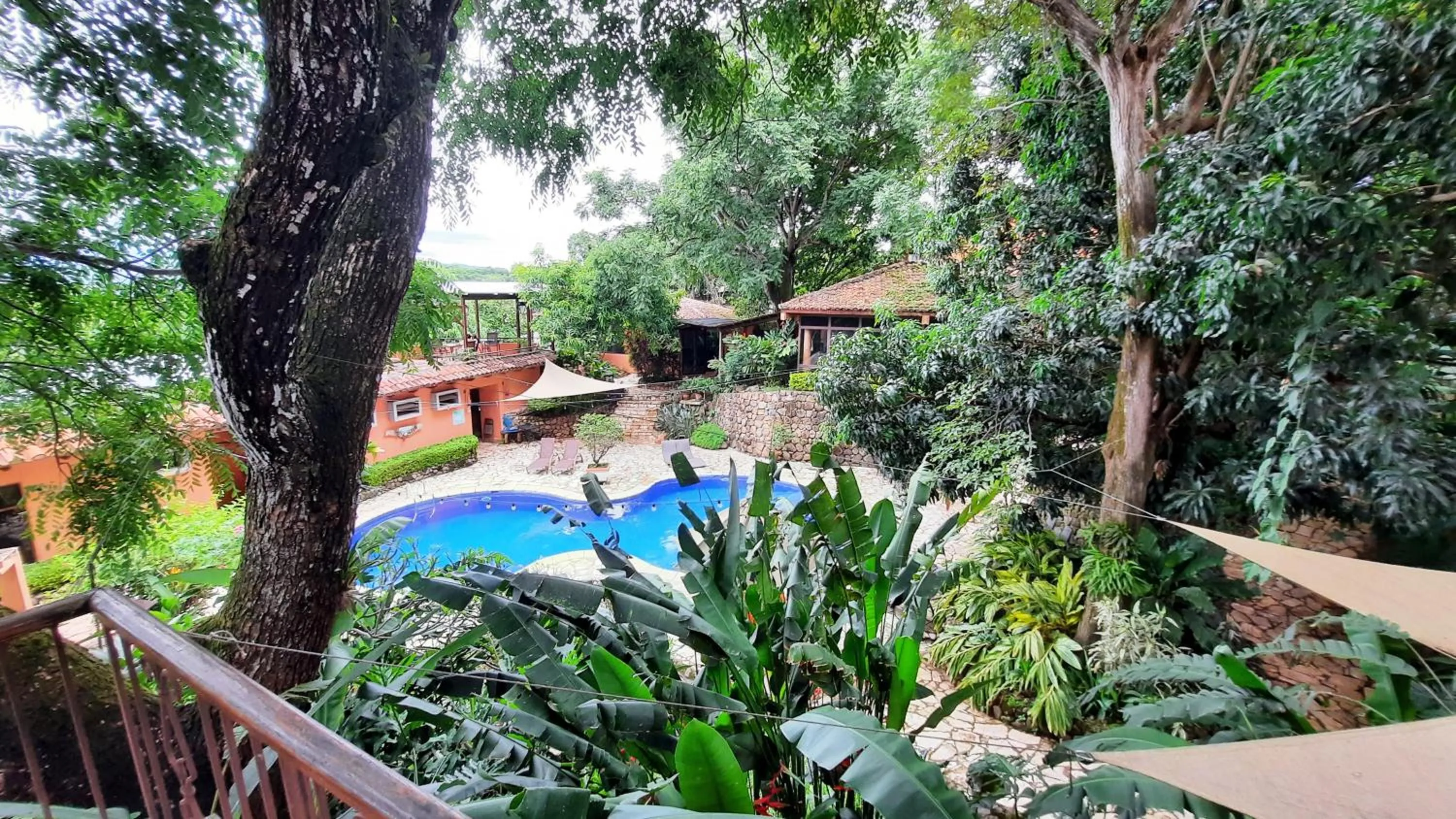 Los Almendros de San Lorenzo