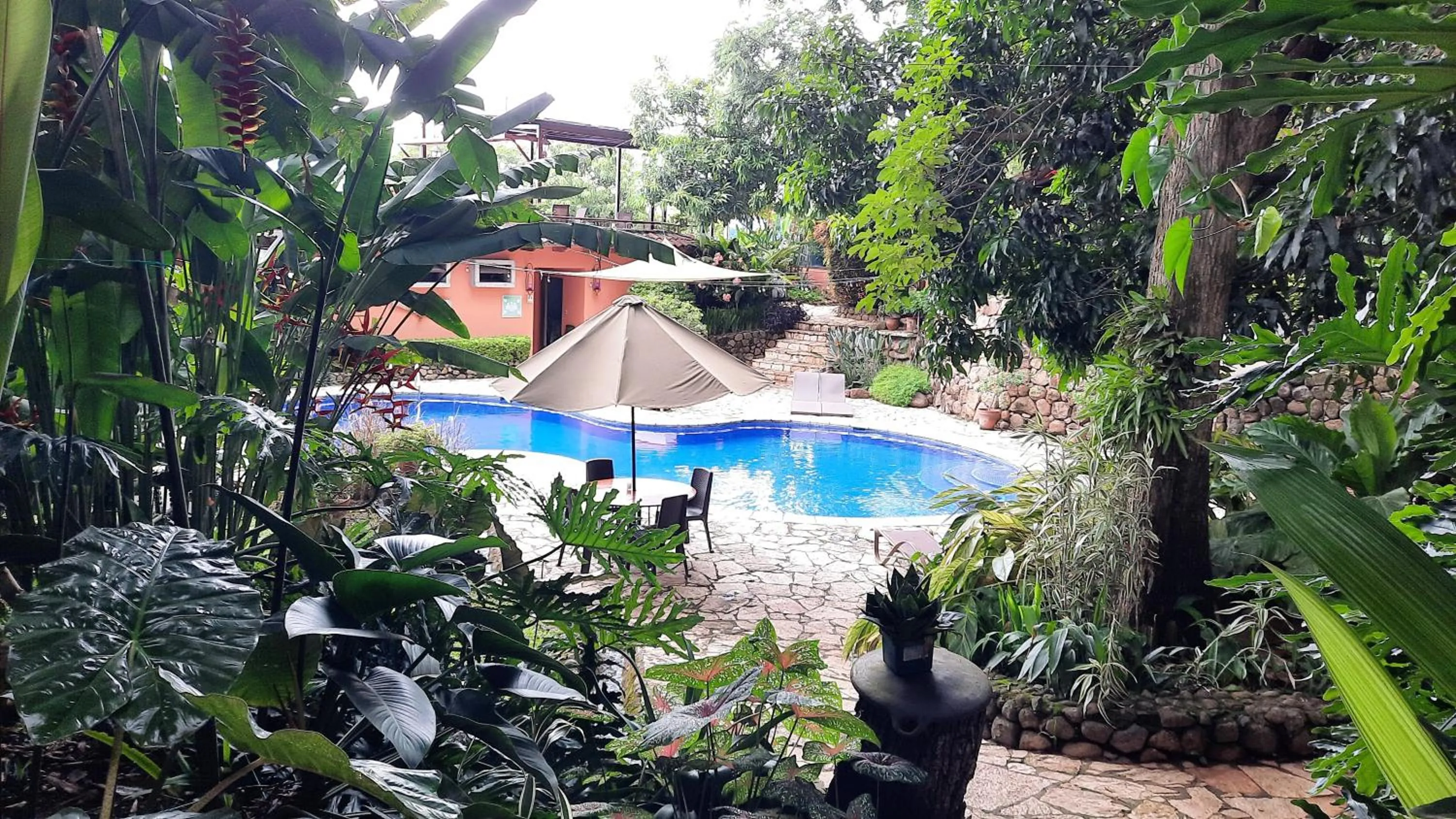 Los Almendros de San Lorenzo