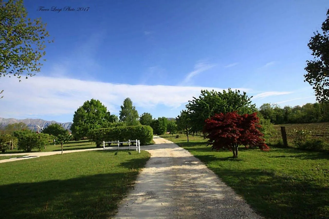 Garden in Albergo Julienne