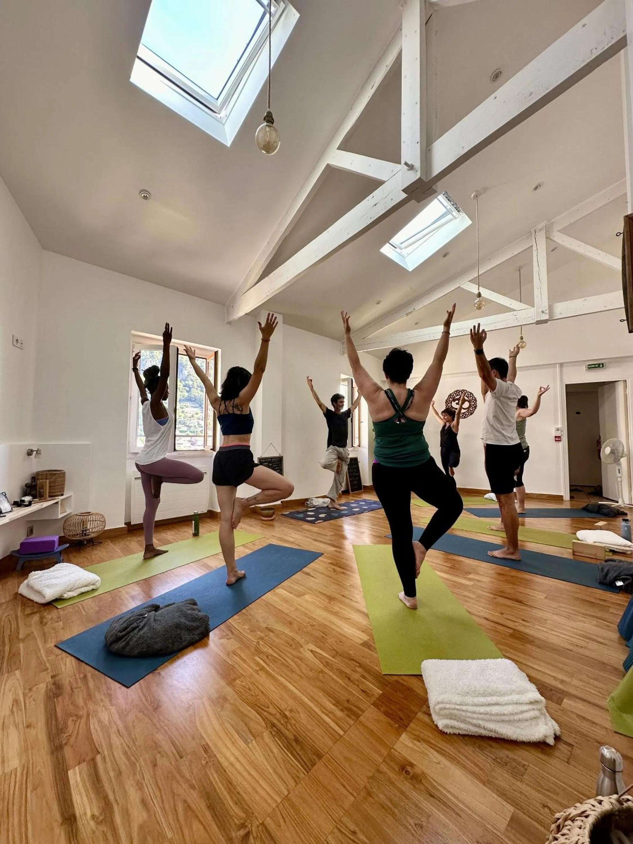 Fitness centre/facilities in The frogs' house - Yoga Retreat