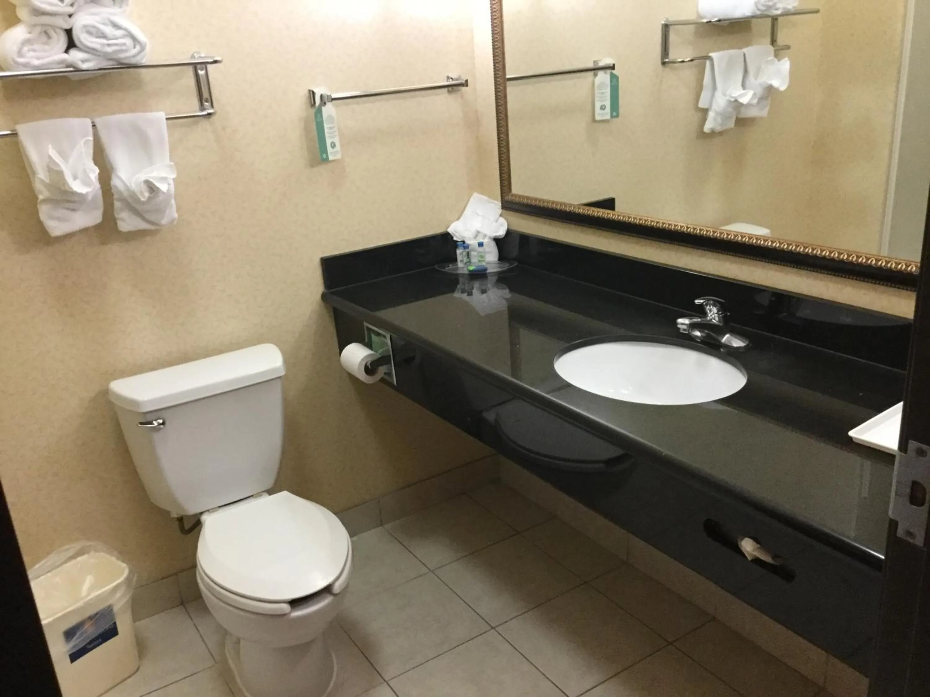 Bathroom in Holiday Inn Express & Suites Longview South I-20 by IHG