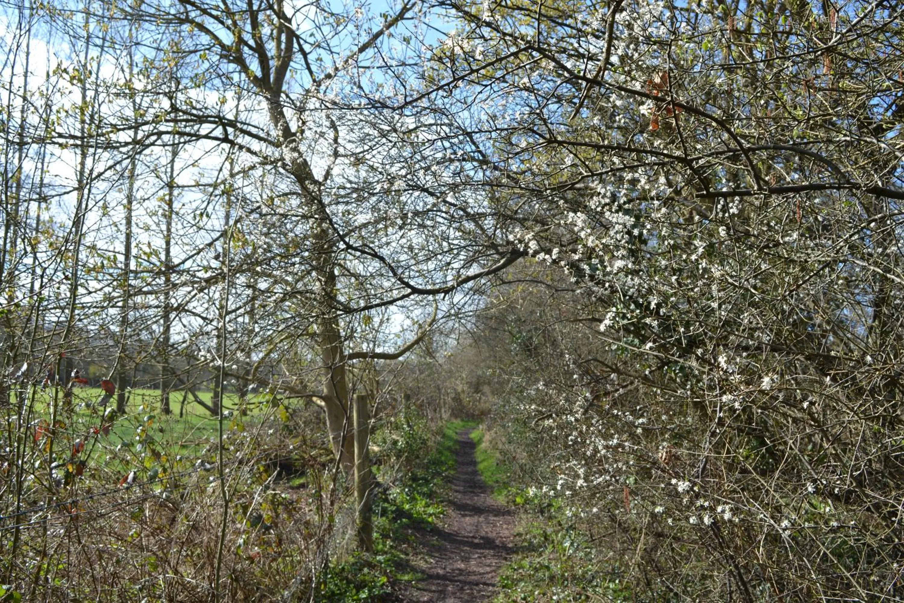 Off site in The Kingsley at Eversley