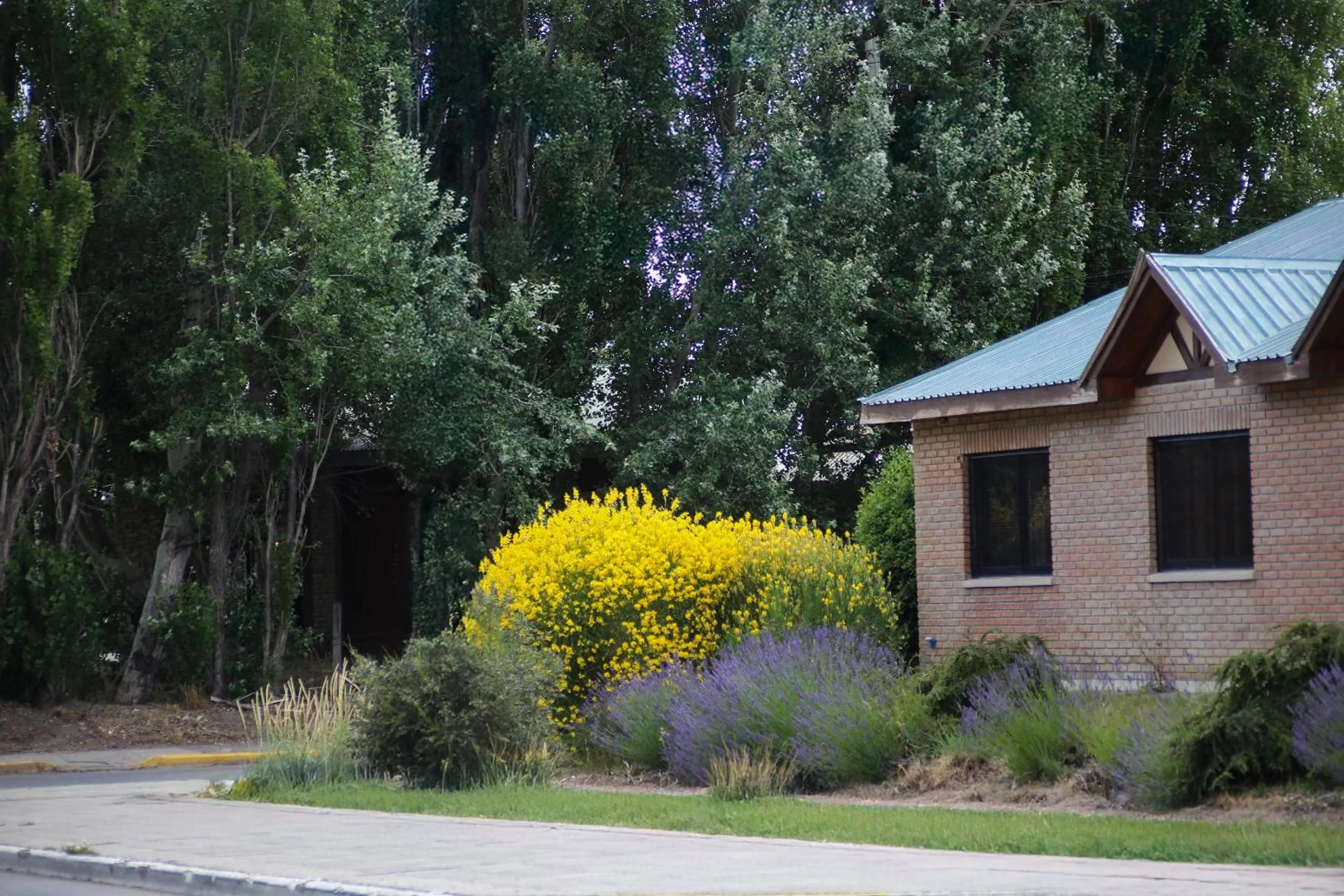 Garden in Hotel Bahia Redonda