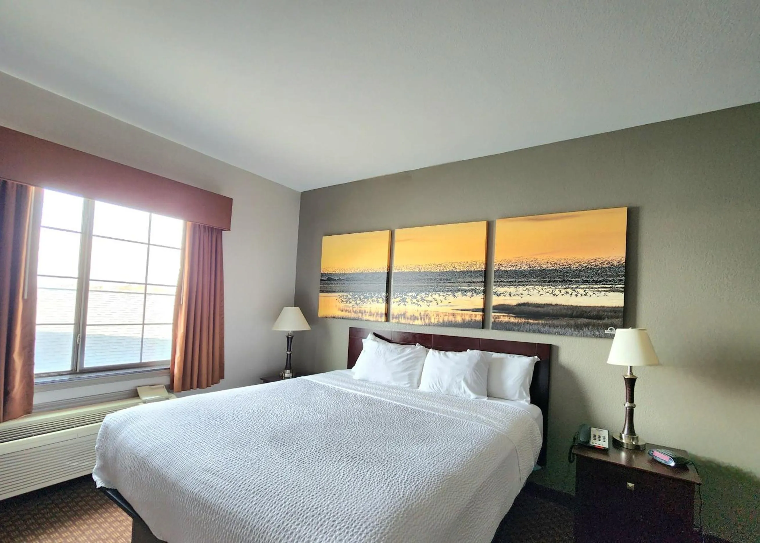 Bedroom, Bed in Days Inn by Wyndham Kemah