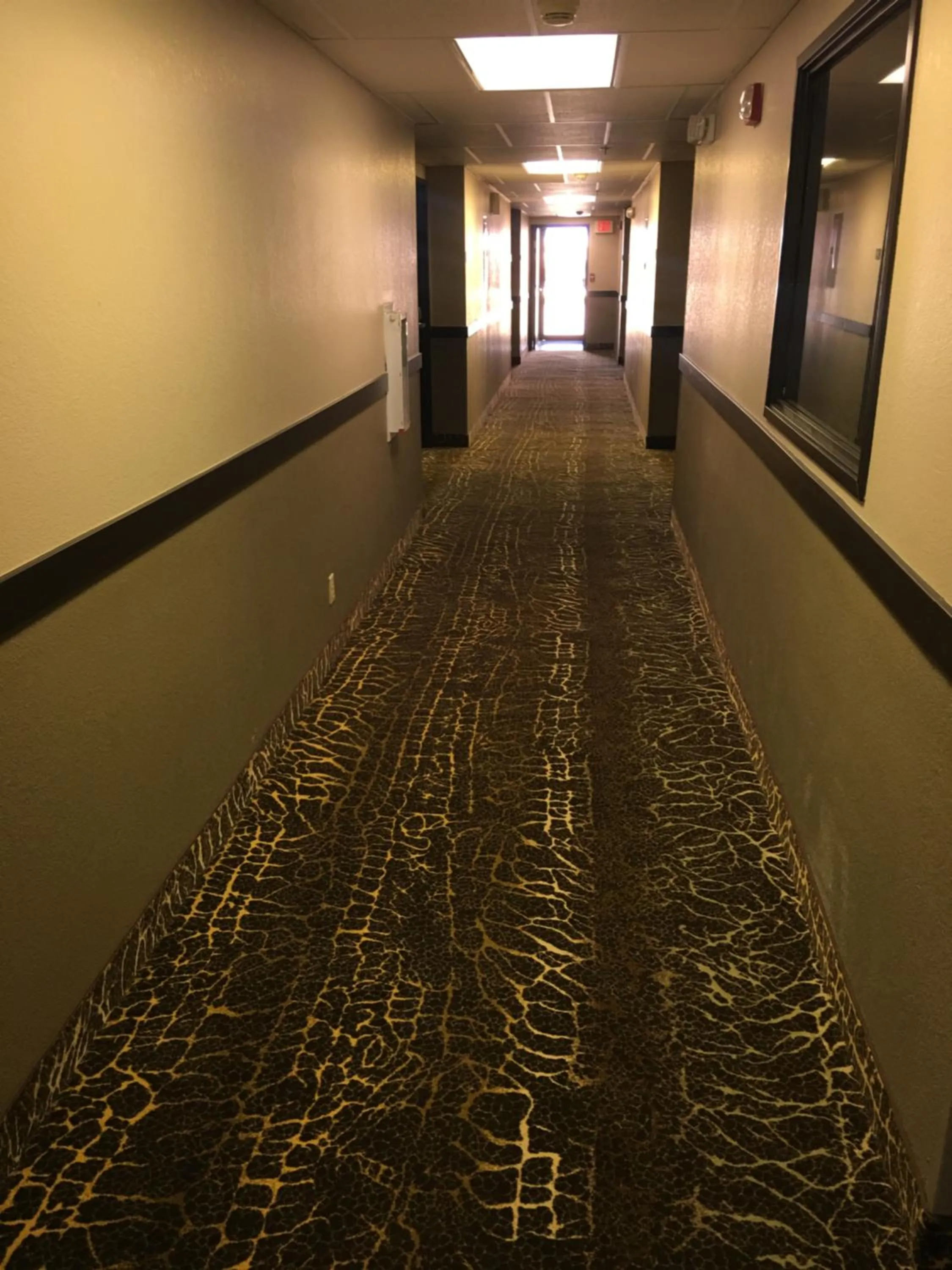 Property building in Super 8 by Wyndham O Neill NE