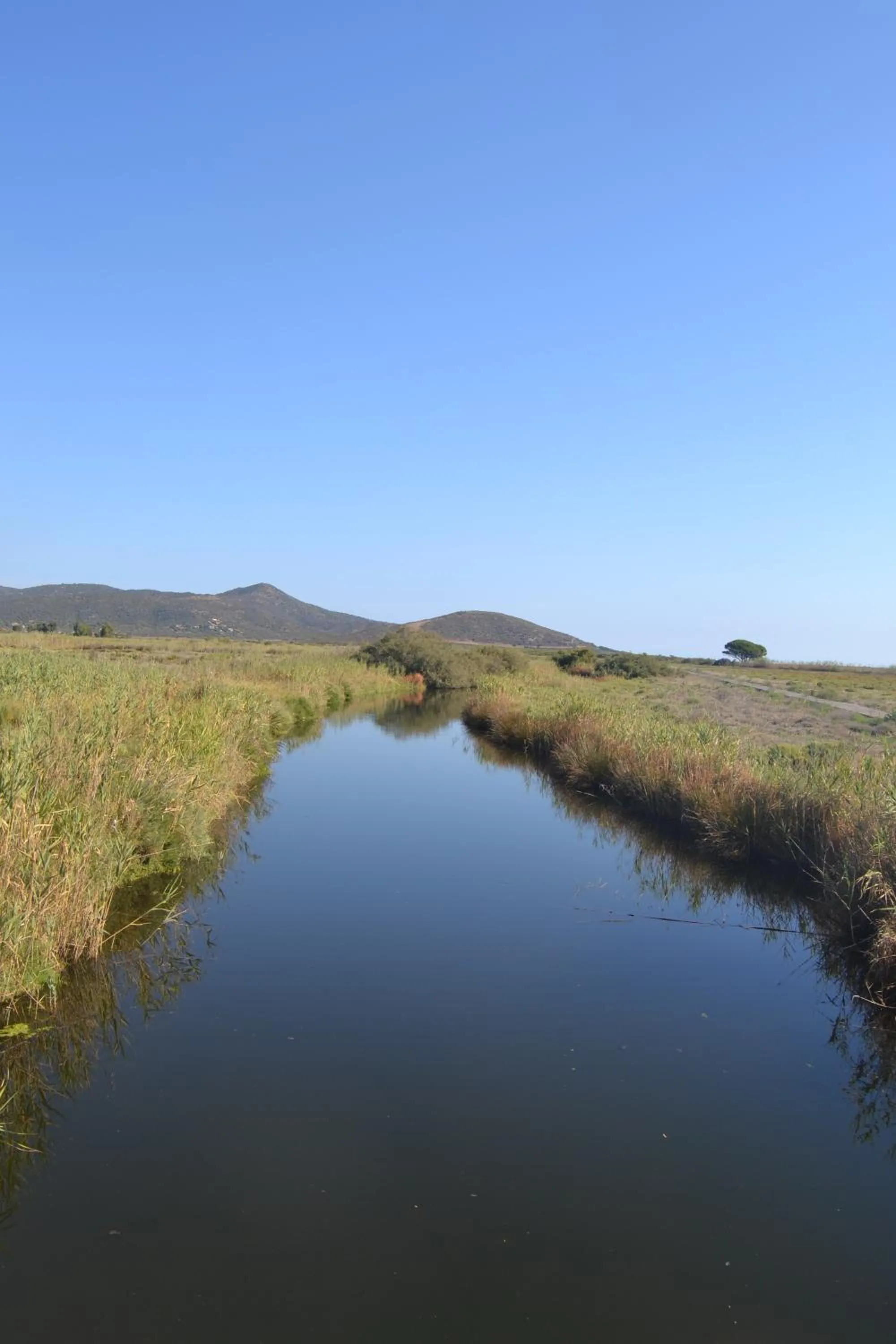 Natural landscape in B&B Sos Manneddos