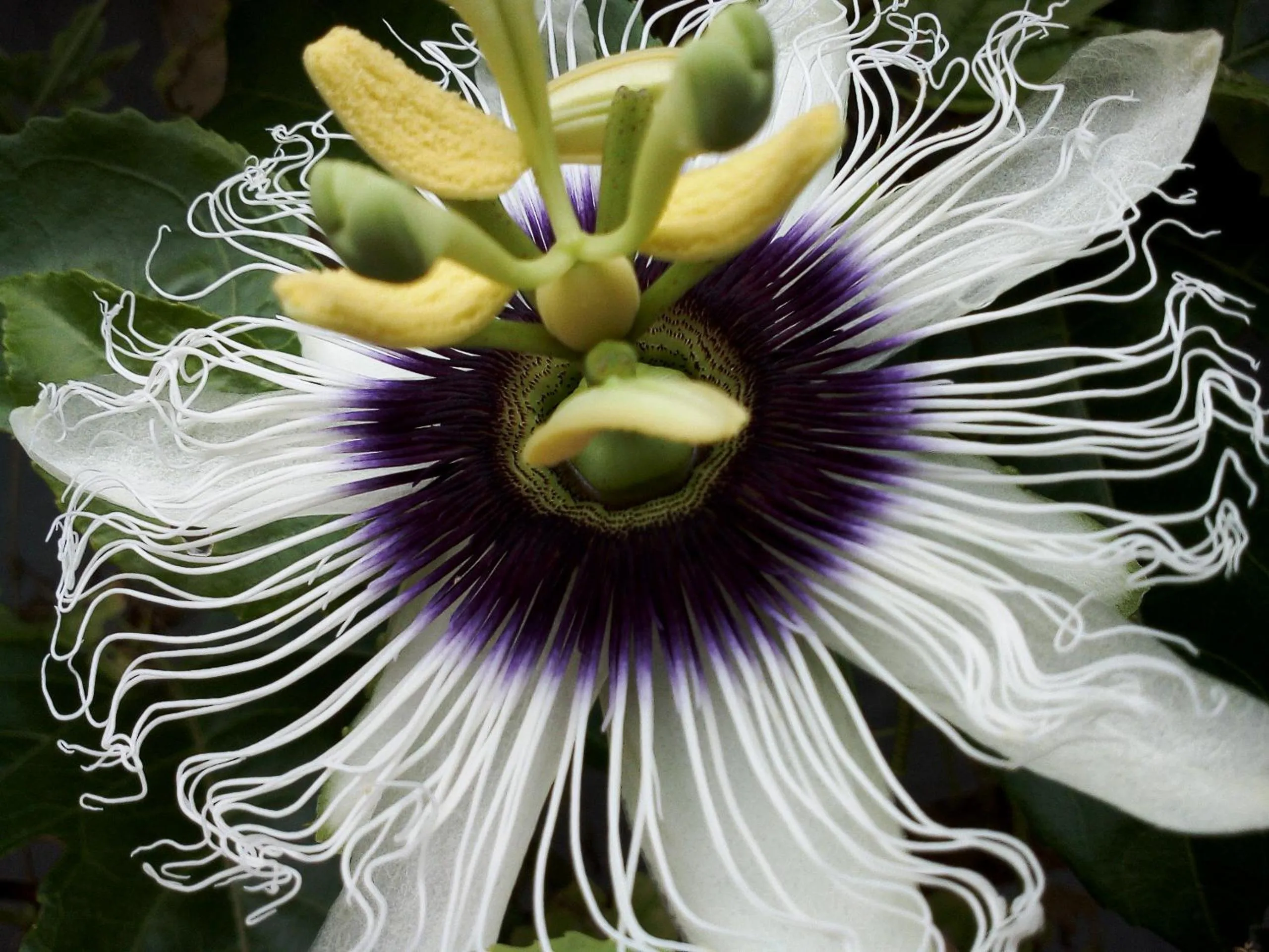 Day in Yao Yai Beach Resort