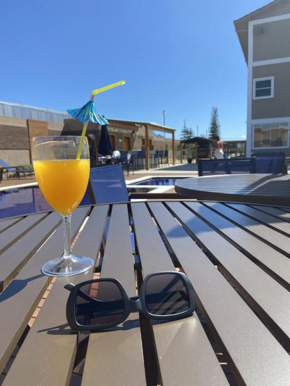 Swimming pool in Hotel Estilo de Minas