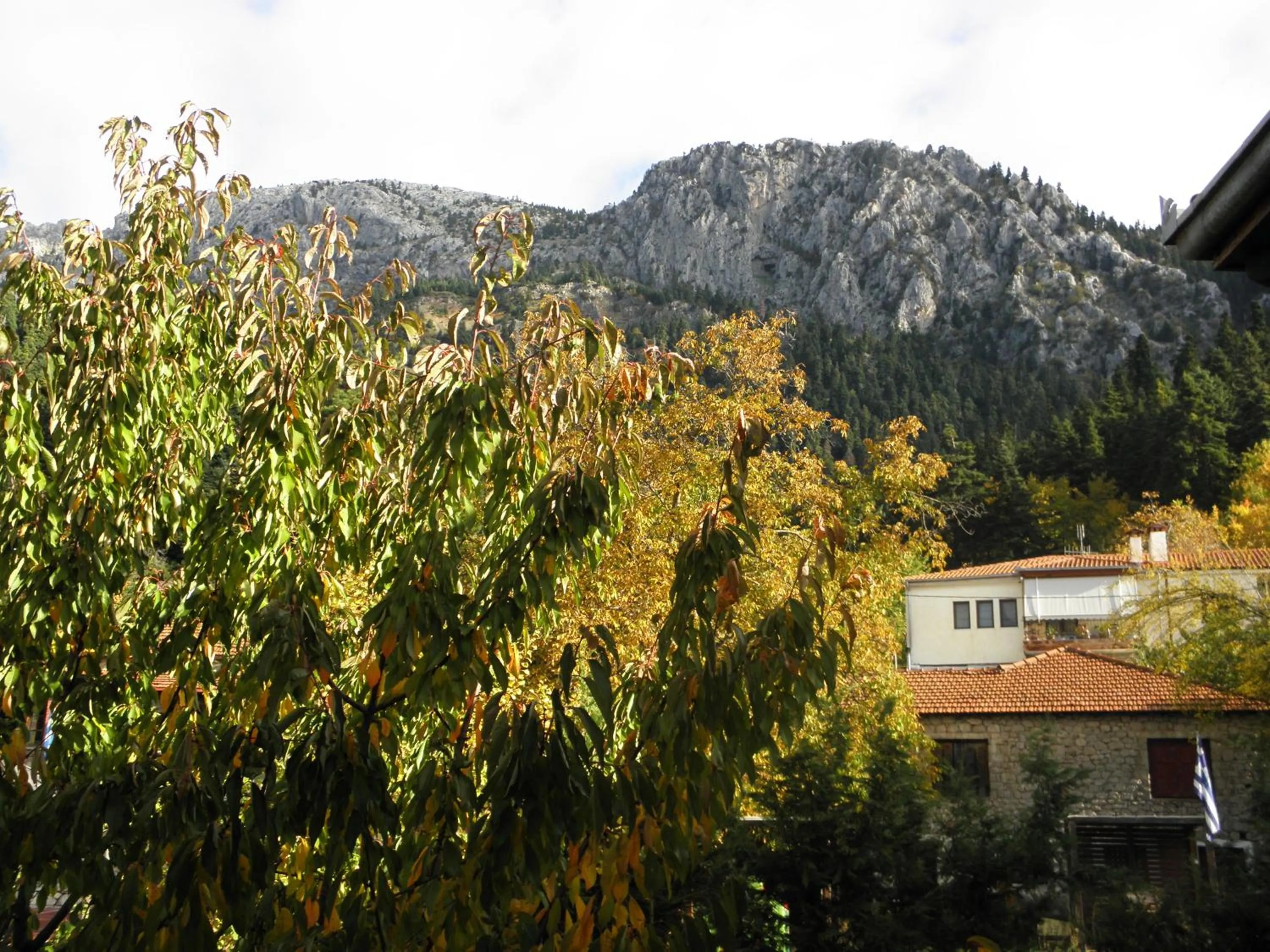 View (from property/room) in Hotel Mpakou