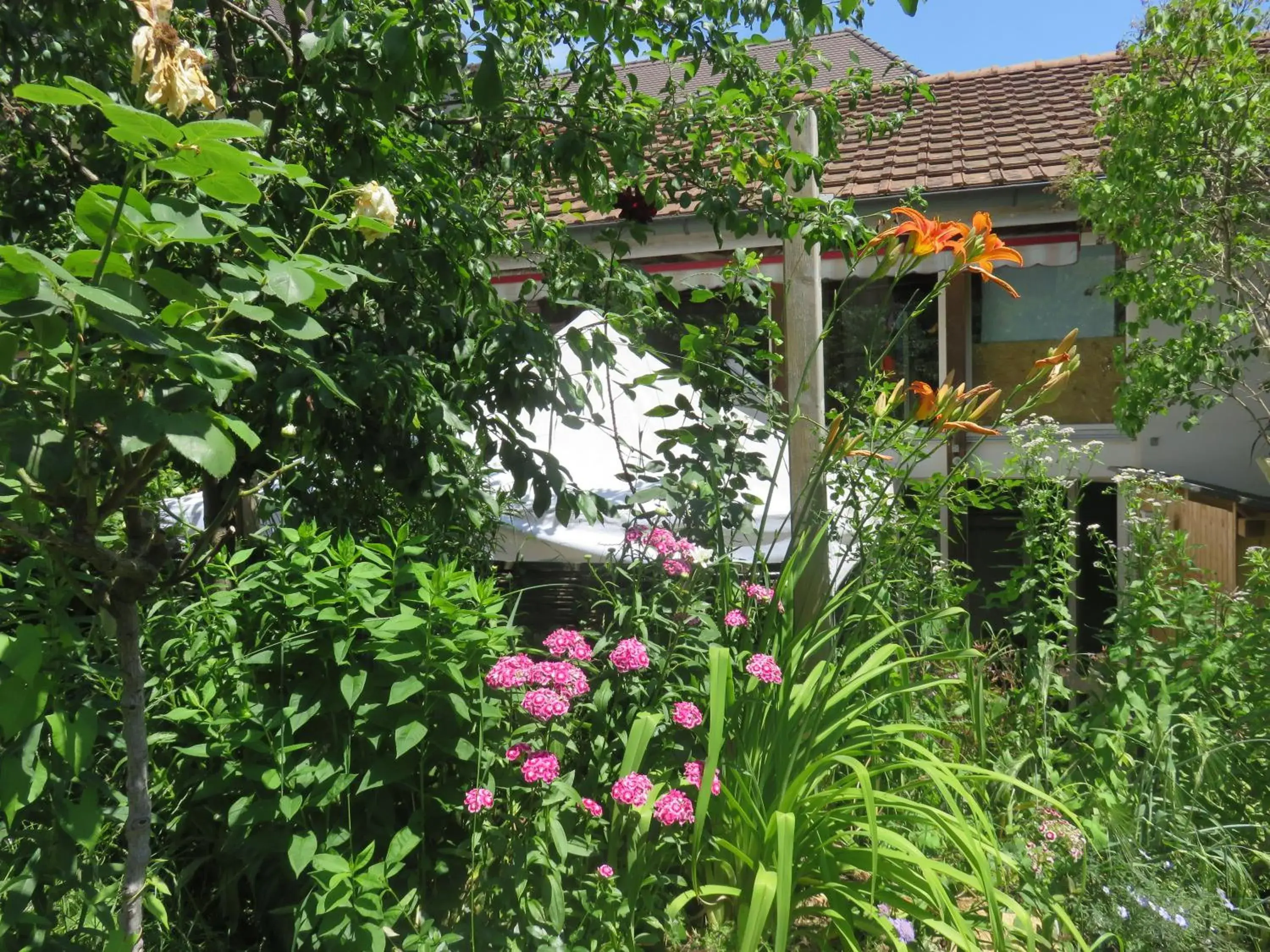 Duplex Apartment in BnB Erlach Duplex Apartment in BnB Erlach