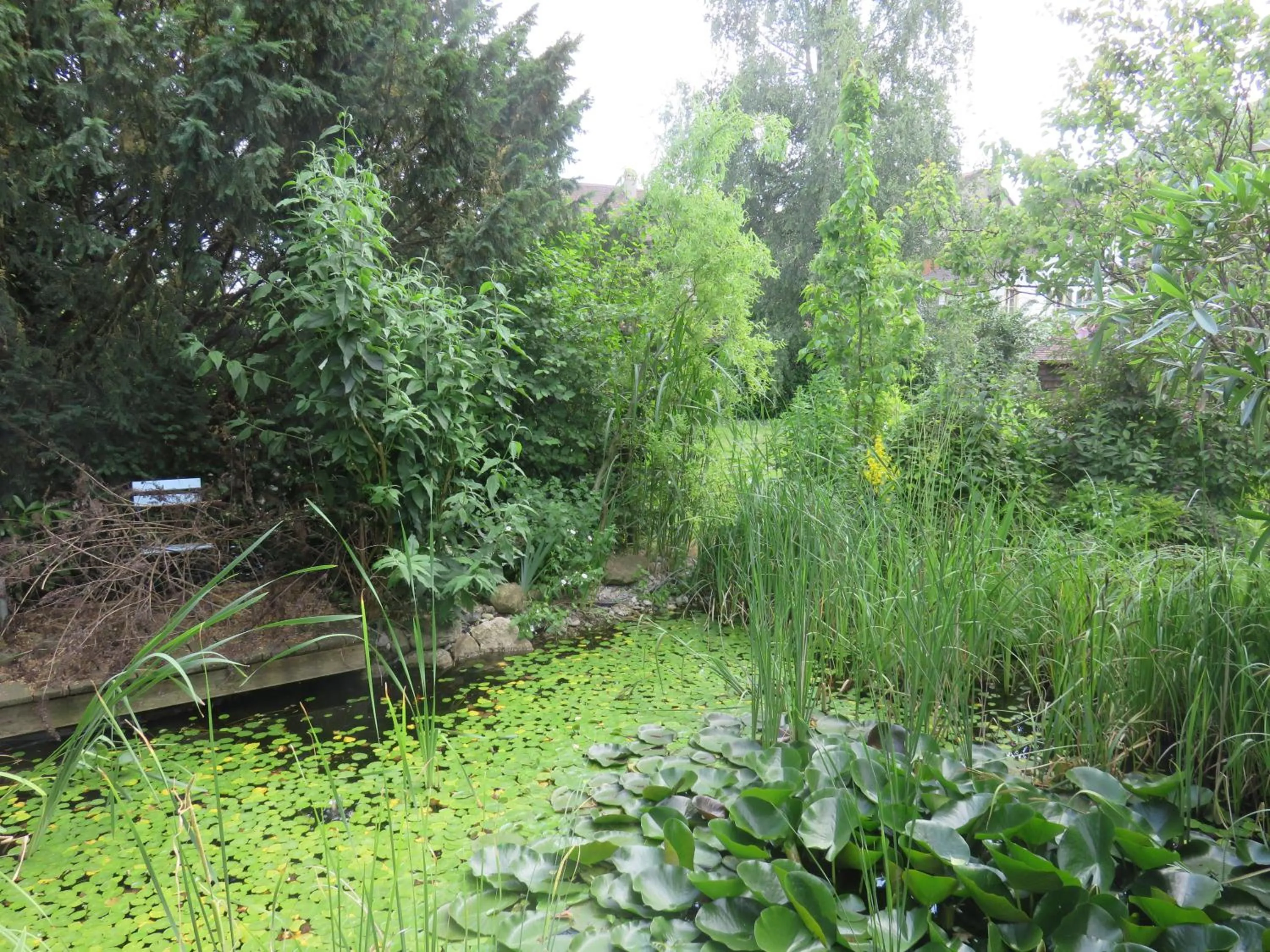 Garden in BnB Erlach