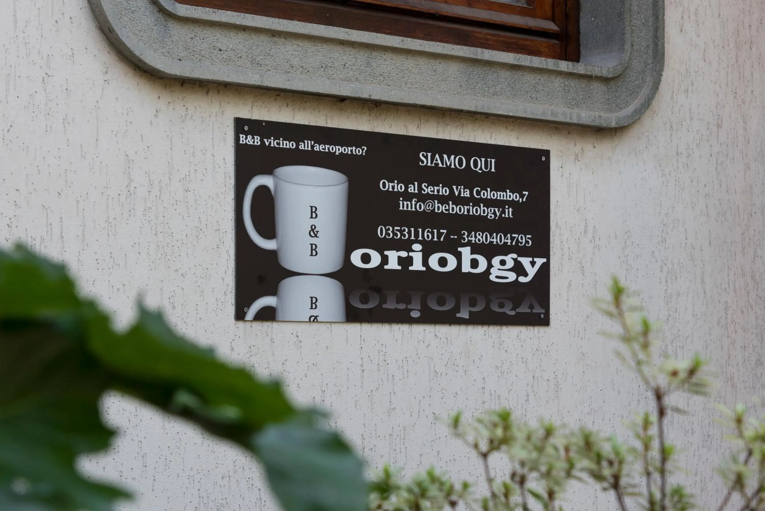 B&B Orio BGY