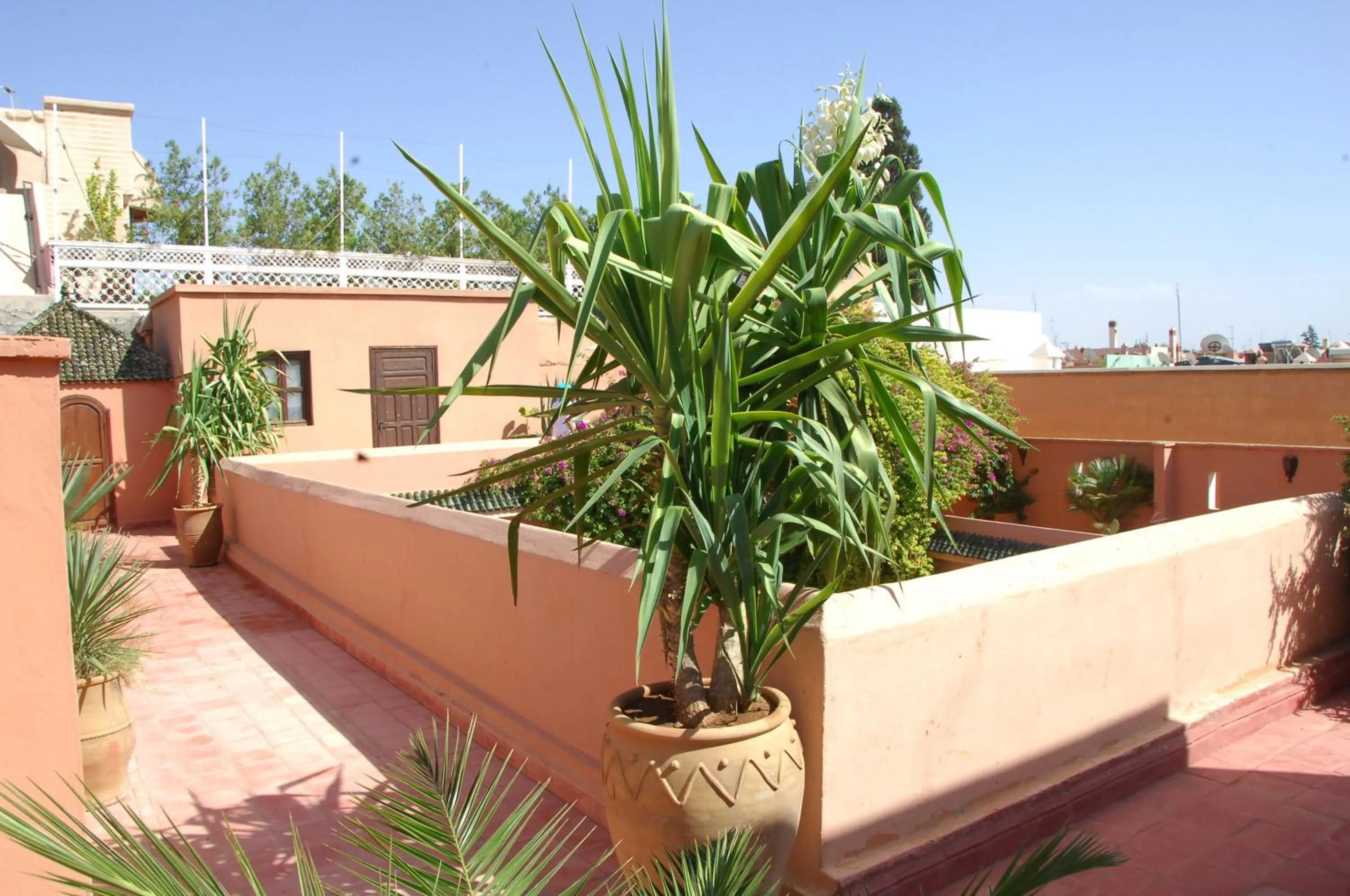 Balcony/Terrace in Riad Barroko