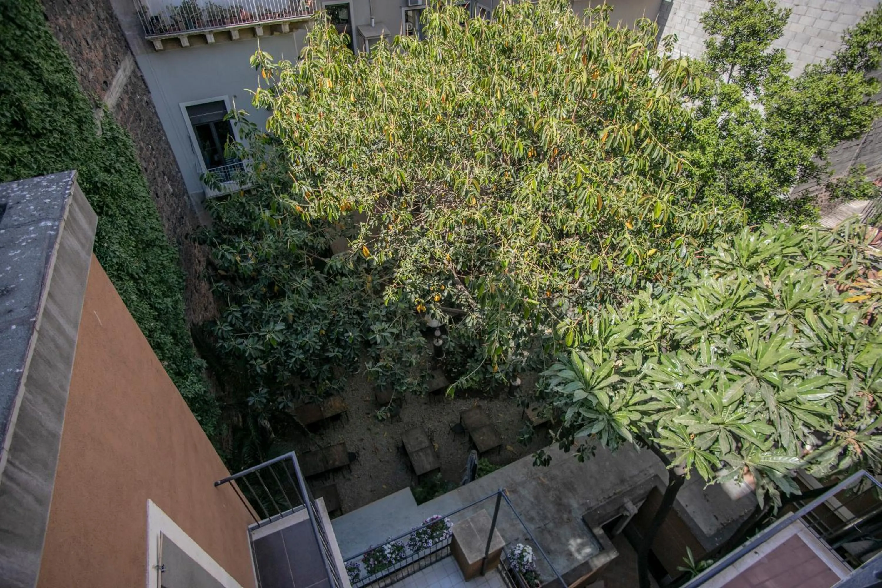 Garden view in Corte dei medici - Palace