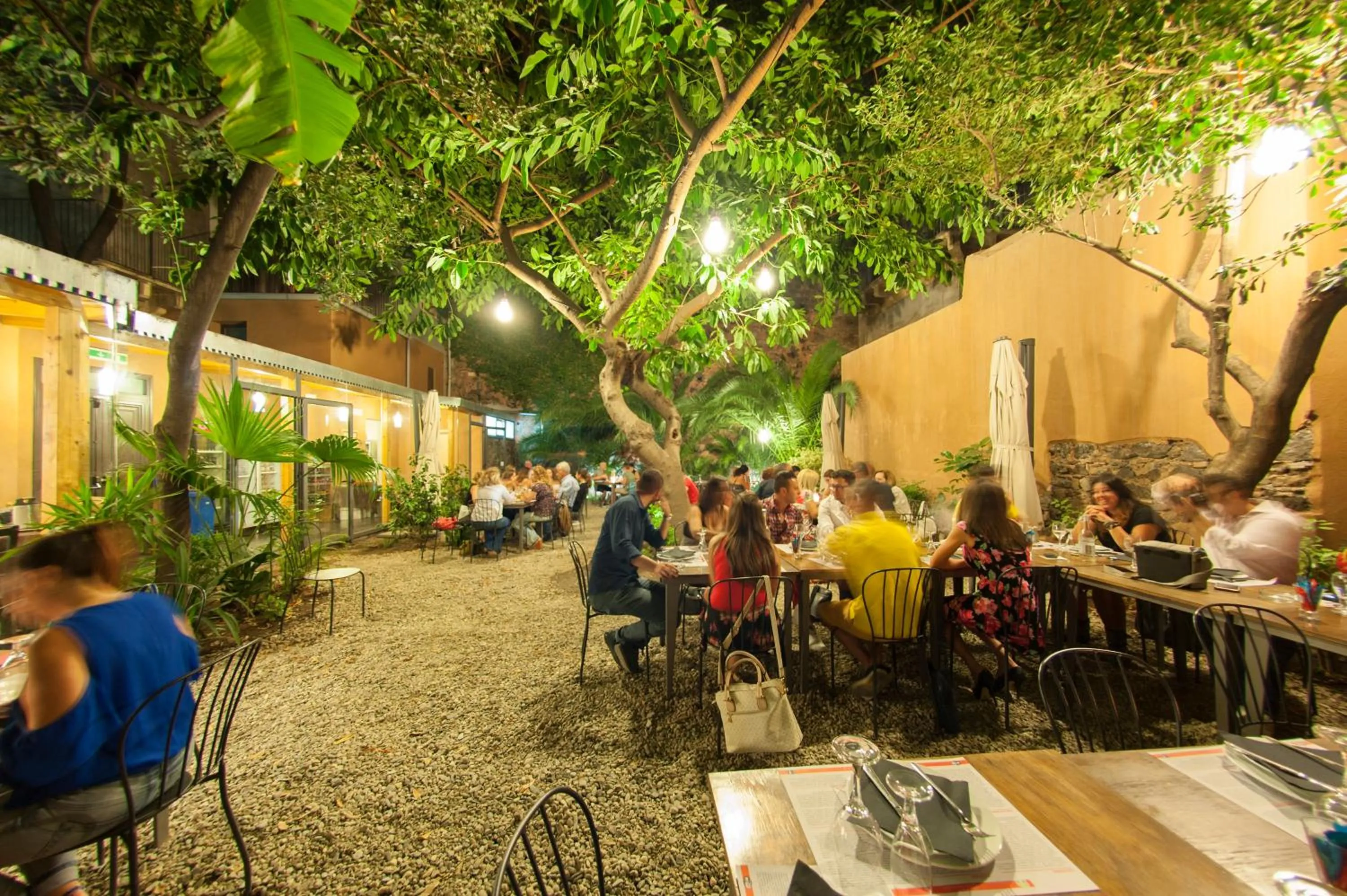 Garden in Corte dei medici - Palace