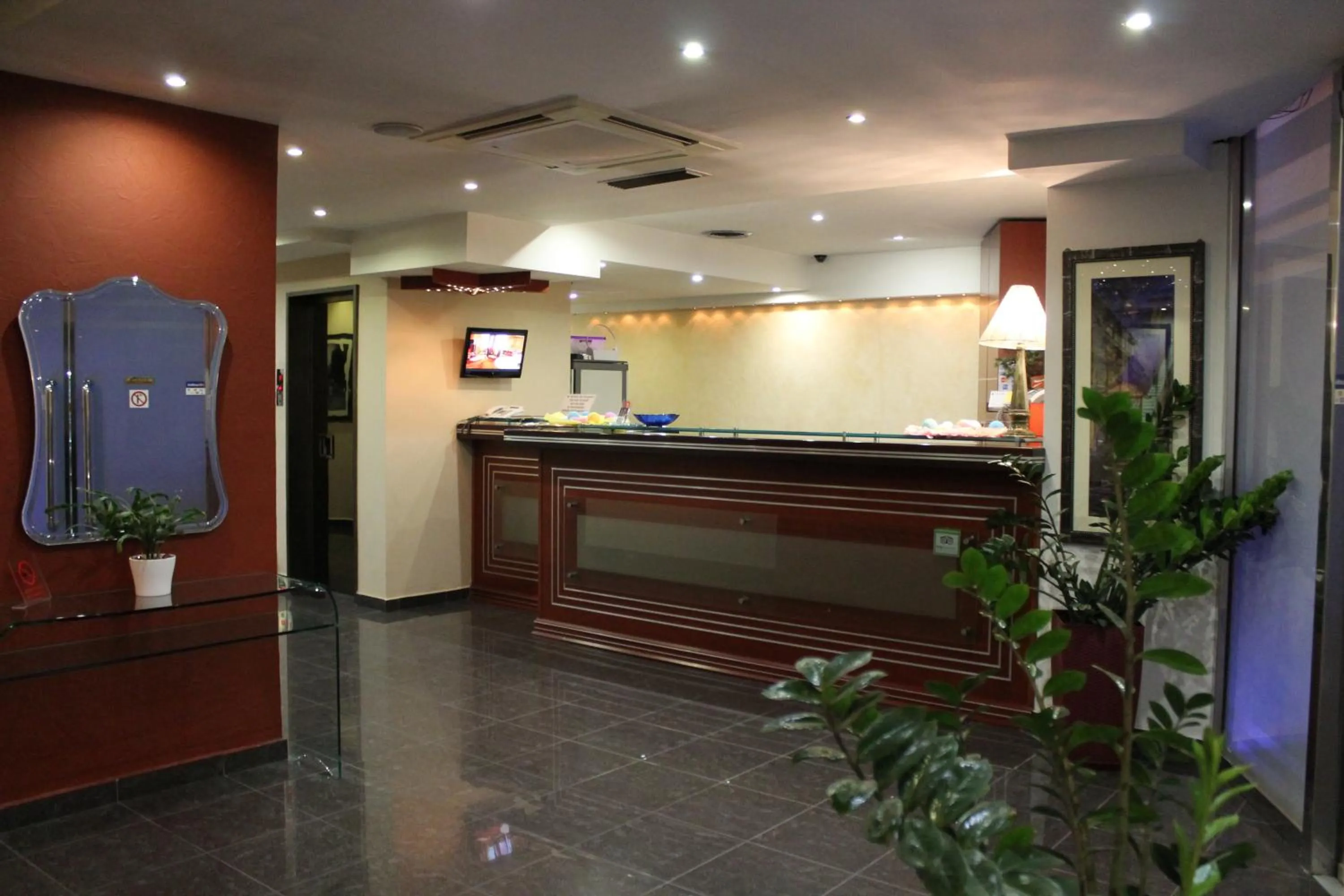 Lobby or reception in Carol Hotel
