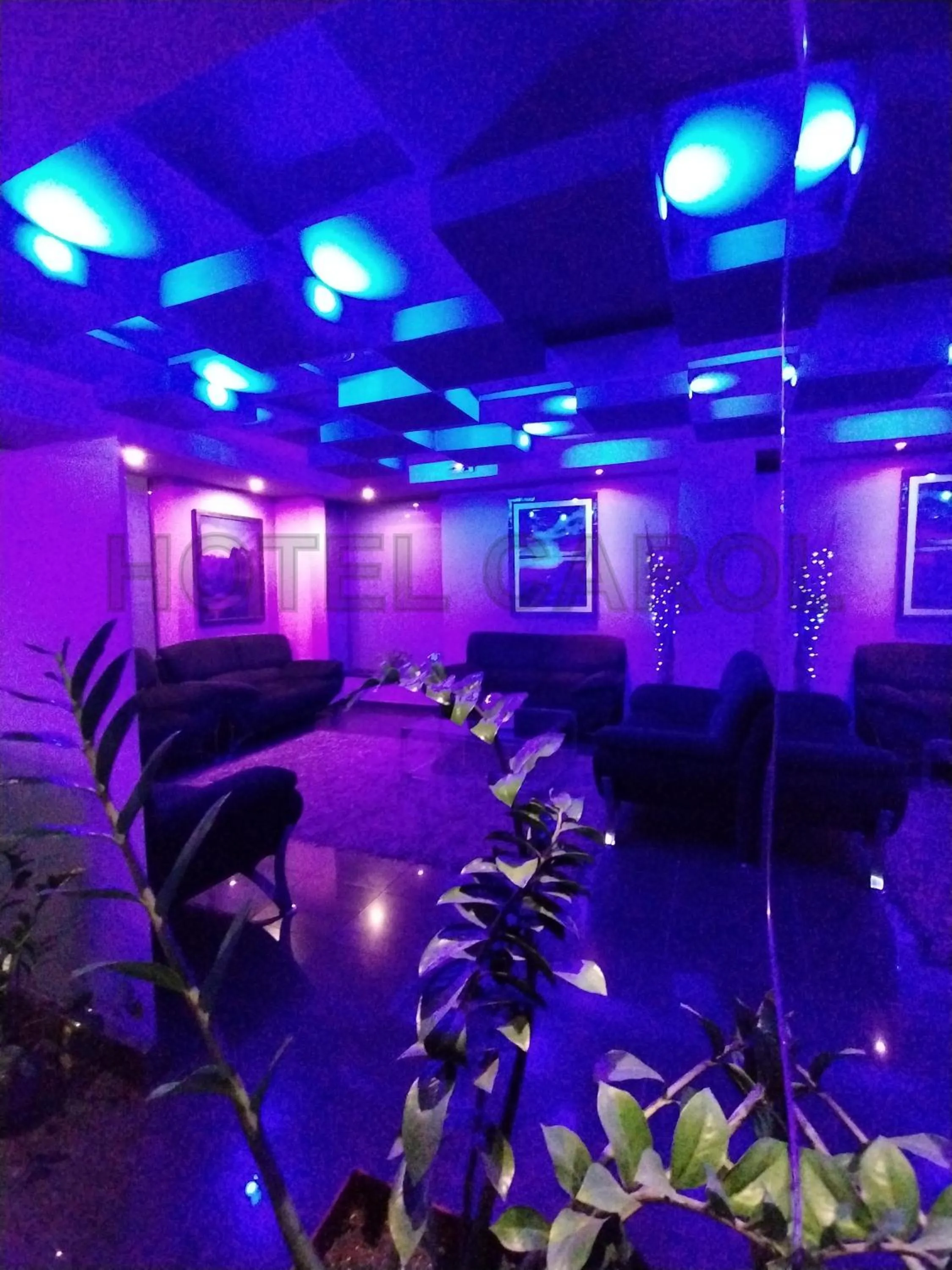 Living room in Carol Hotel