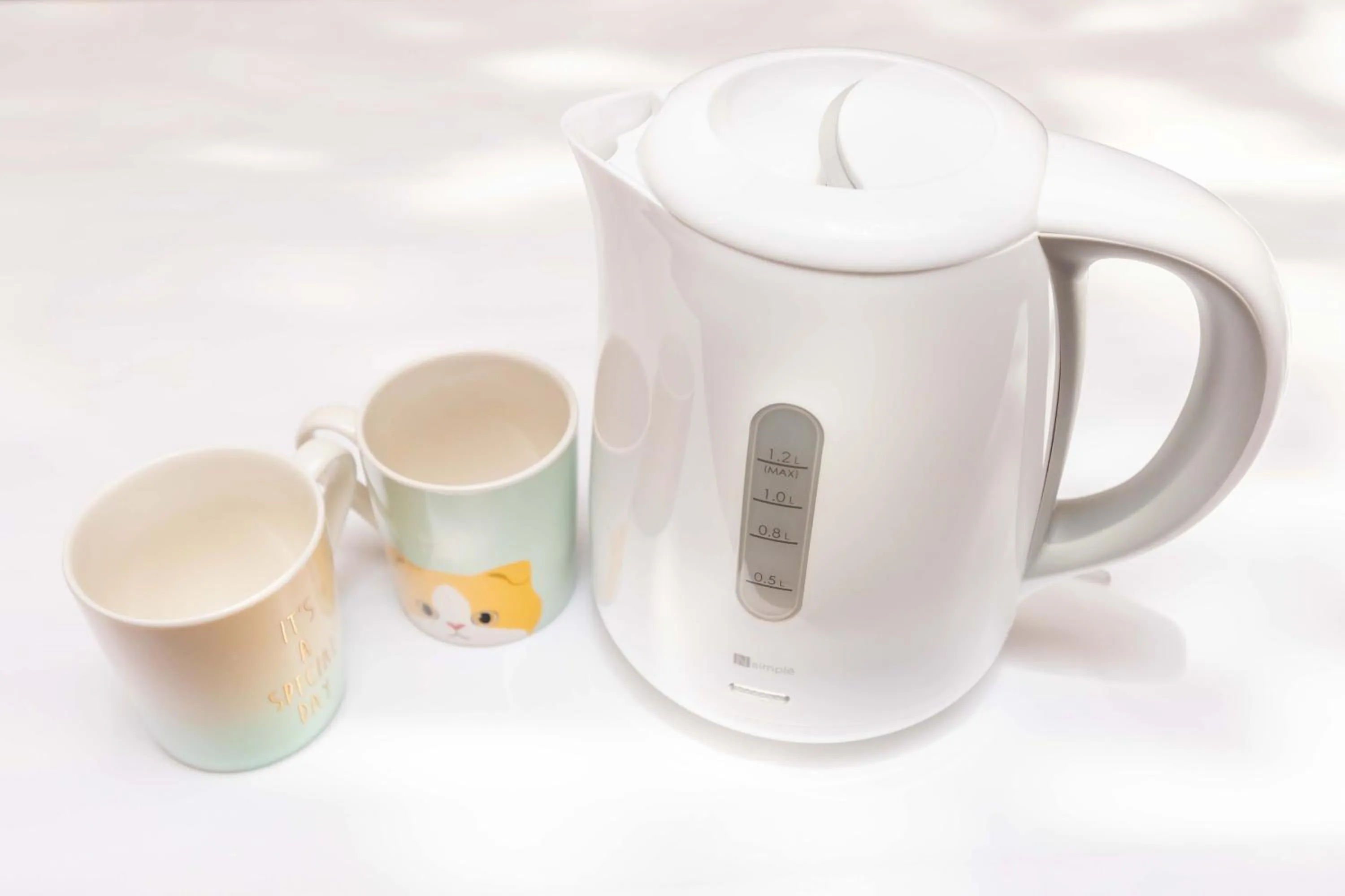 Photo of the whole room in Senjoarashi