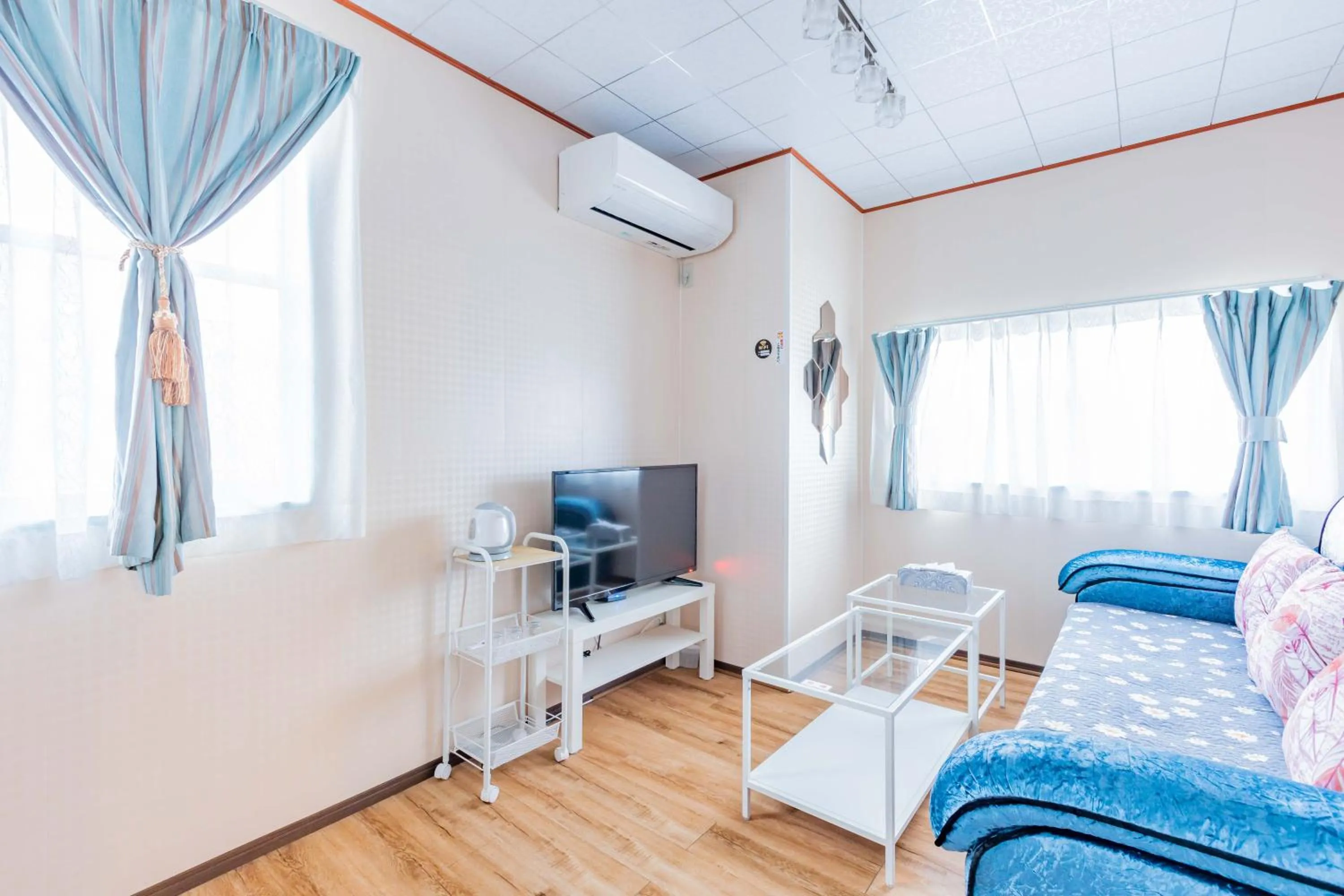 TV and multimedia in Senjoarashi