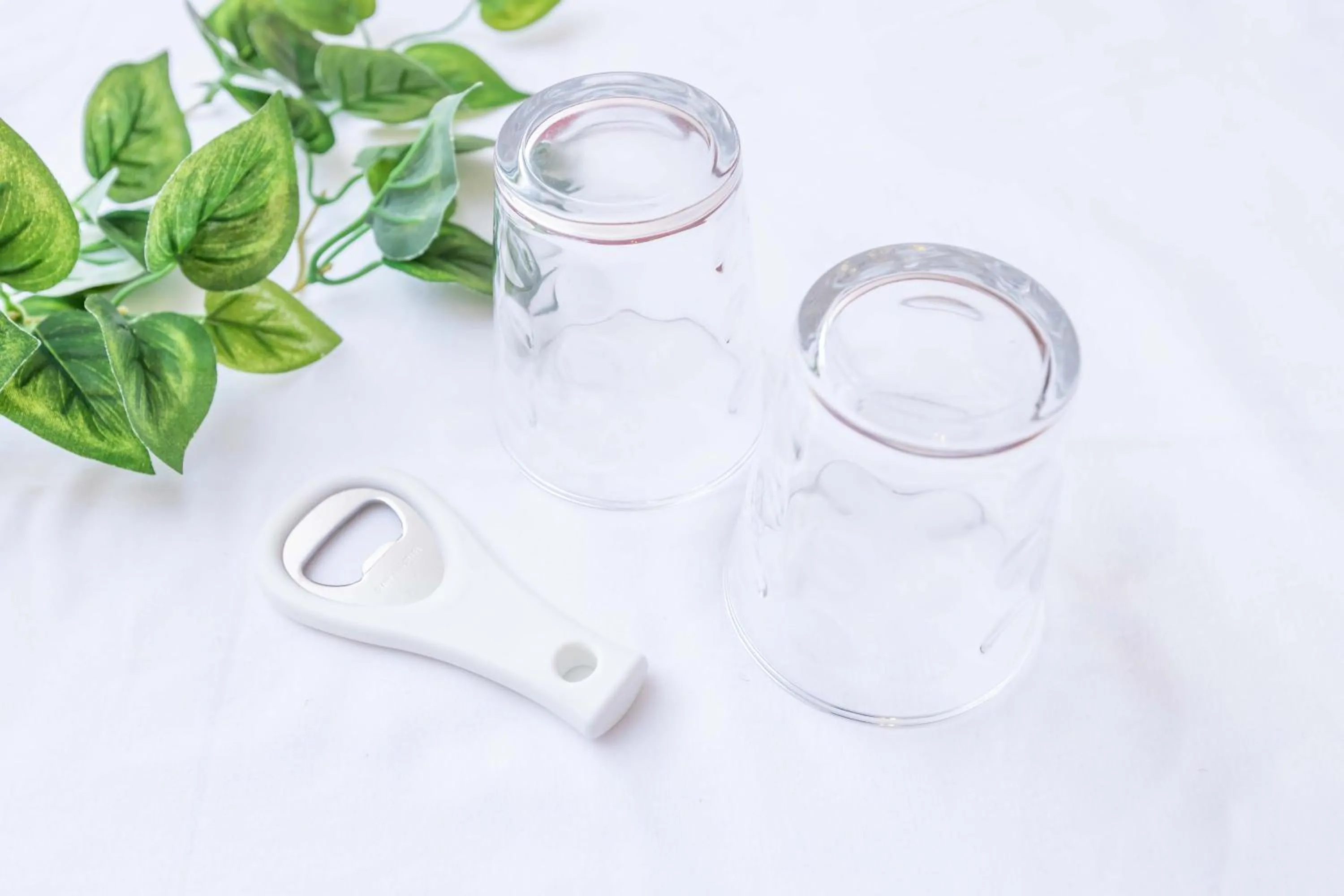 Photo of the whole room in Senjoarashi